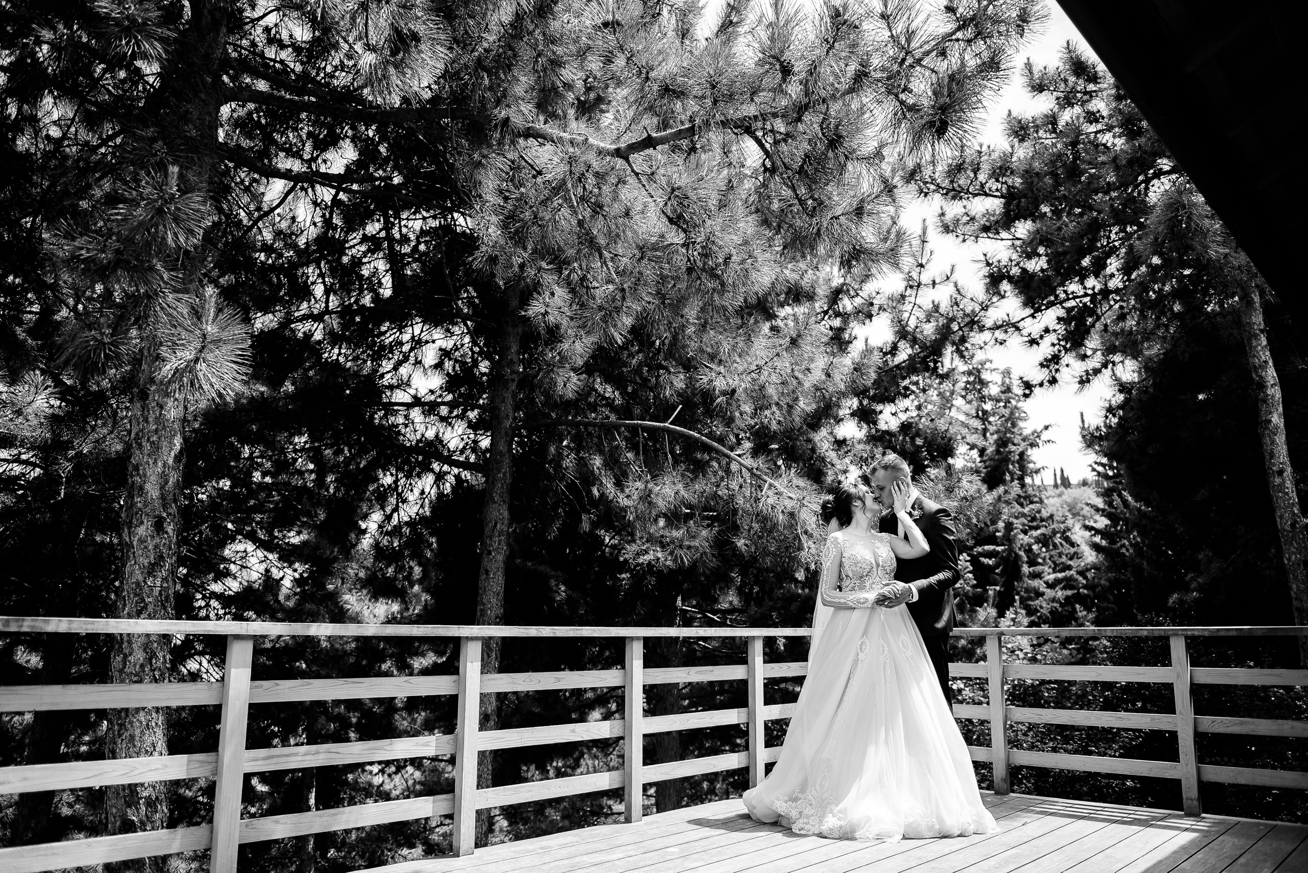 Сергей и Света. Свадебный фотограф в Крыму Александр Богомазов