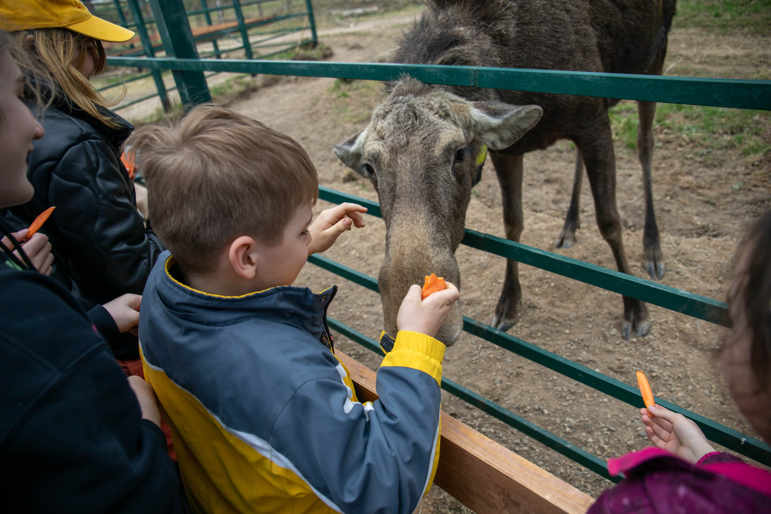 Репортажная съёмка. BY KOT | Екатерина Котова | фотограф и видеограф
