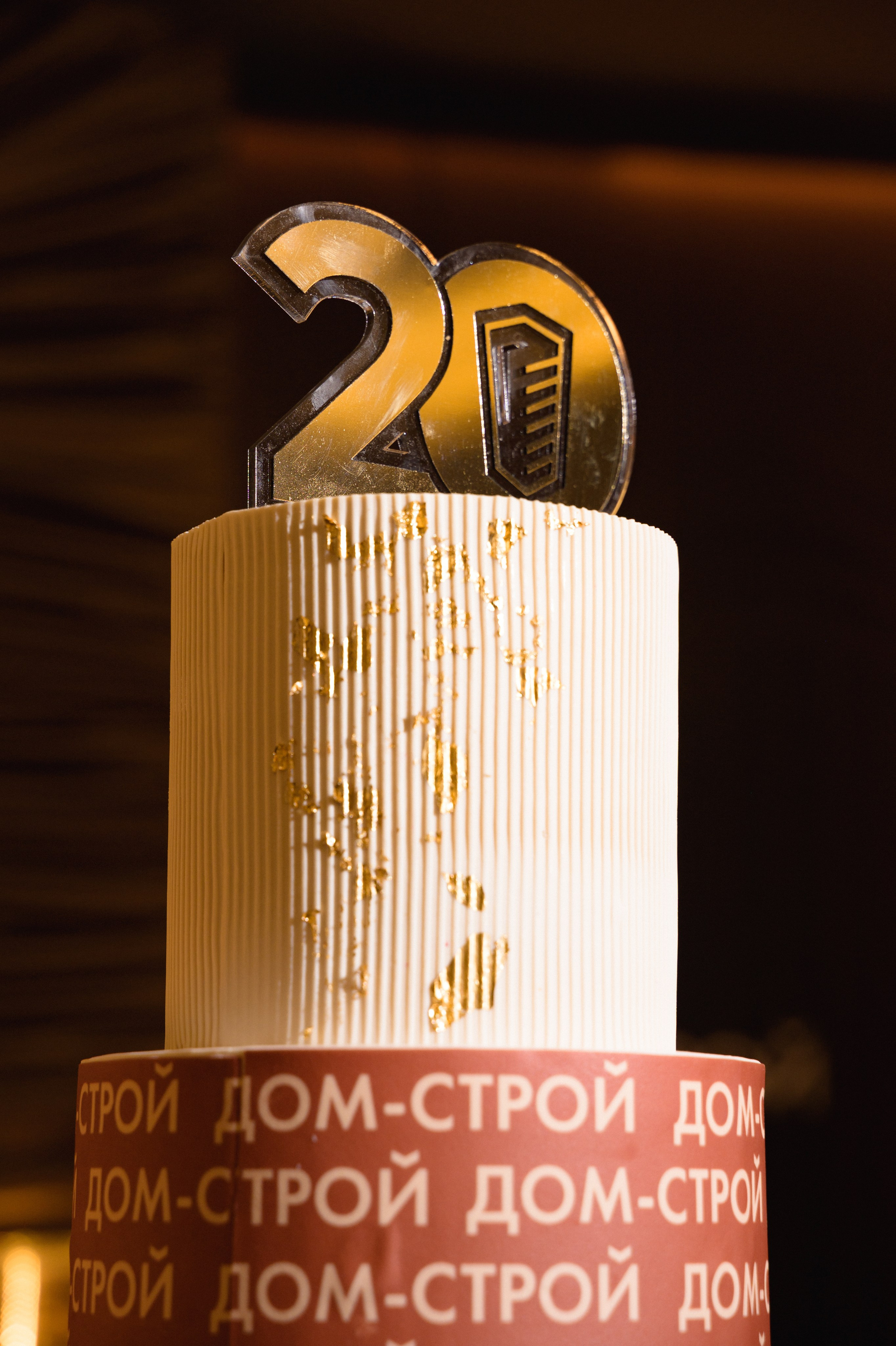 ДОМ-СТРОЙ. Свадебный фотограф в Новосибирске Алена Цизман