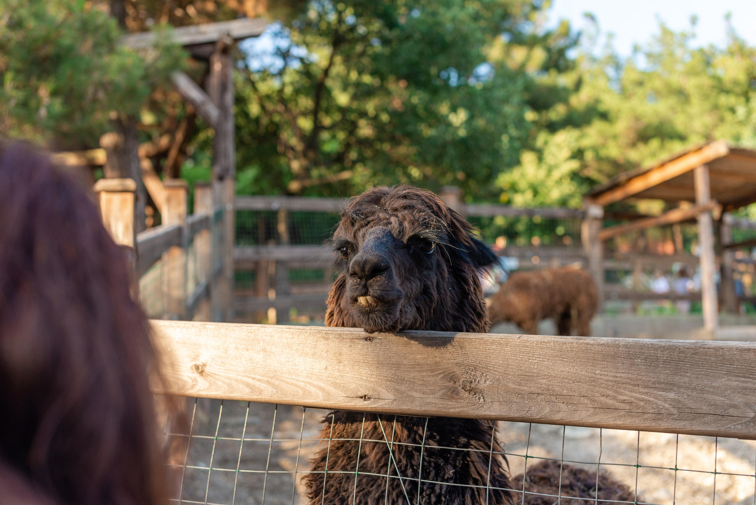 Июнь–Июль Отпуск Белореченск, Геленджик. Семейный, Свадебный фотограф СПБ Питер— Романова Екатерина