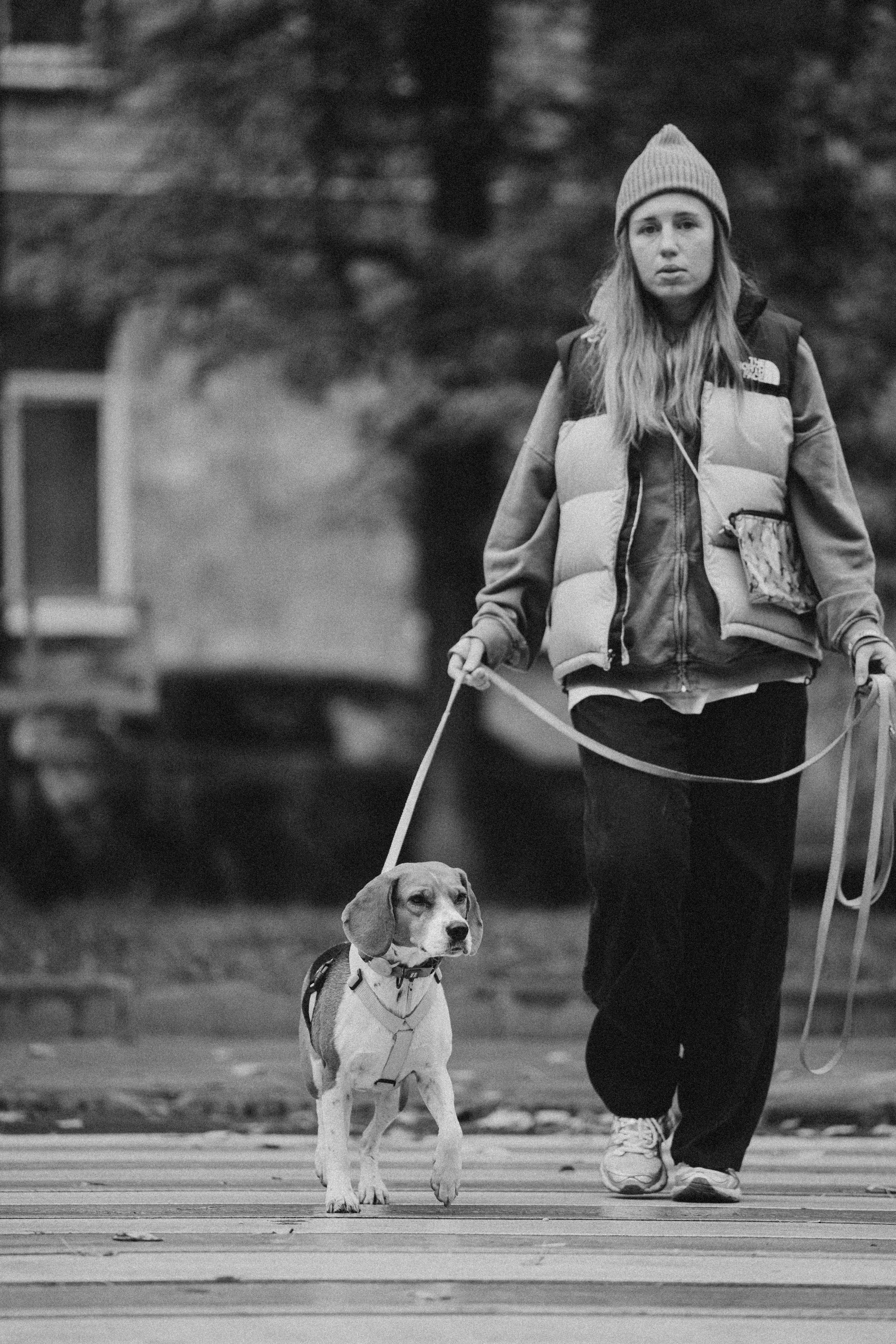 Света и Ива. Фотограф-анималист в Москве Лера Черноног