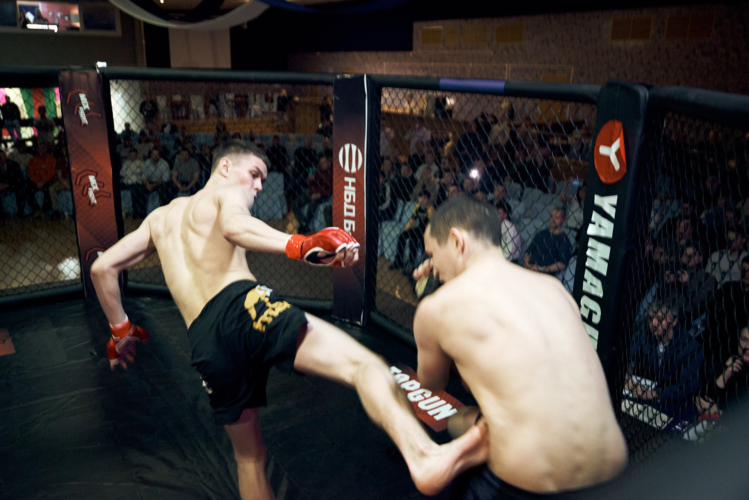 Бои. Маляревич Дмитрий свадебный фотограф