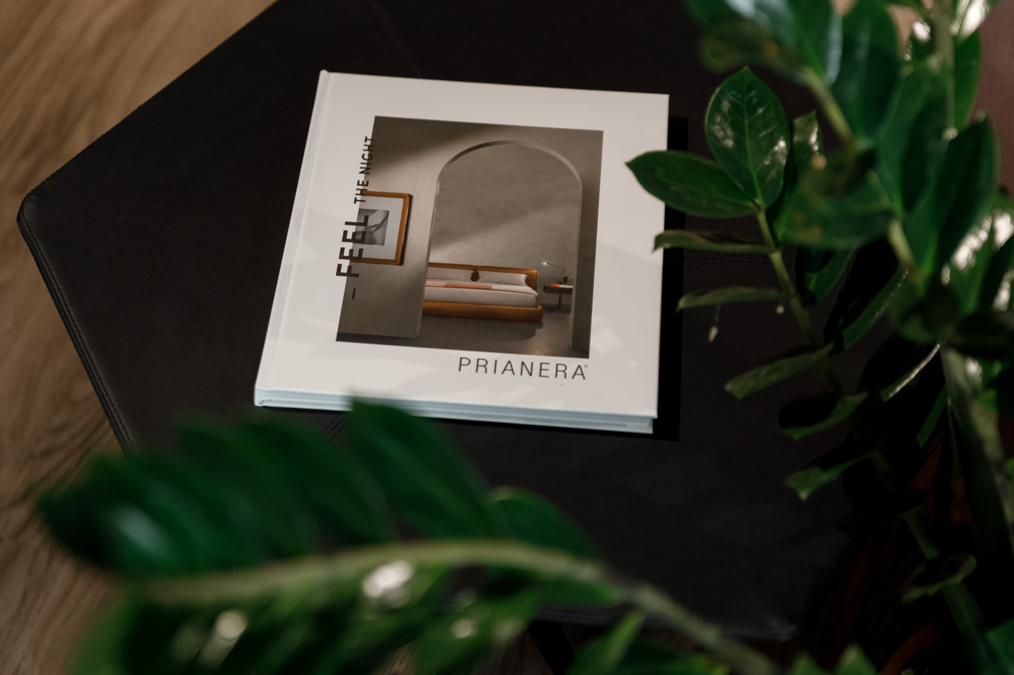 Открытие Prianera. Свадебный и эвент фотограф в Санкт-Петербурге Власов Сергей