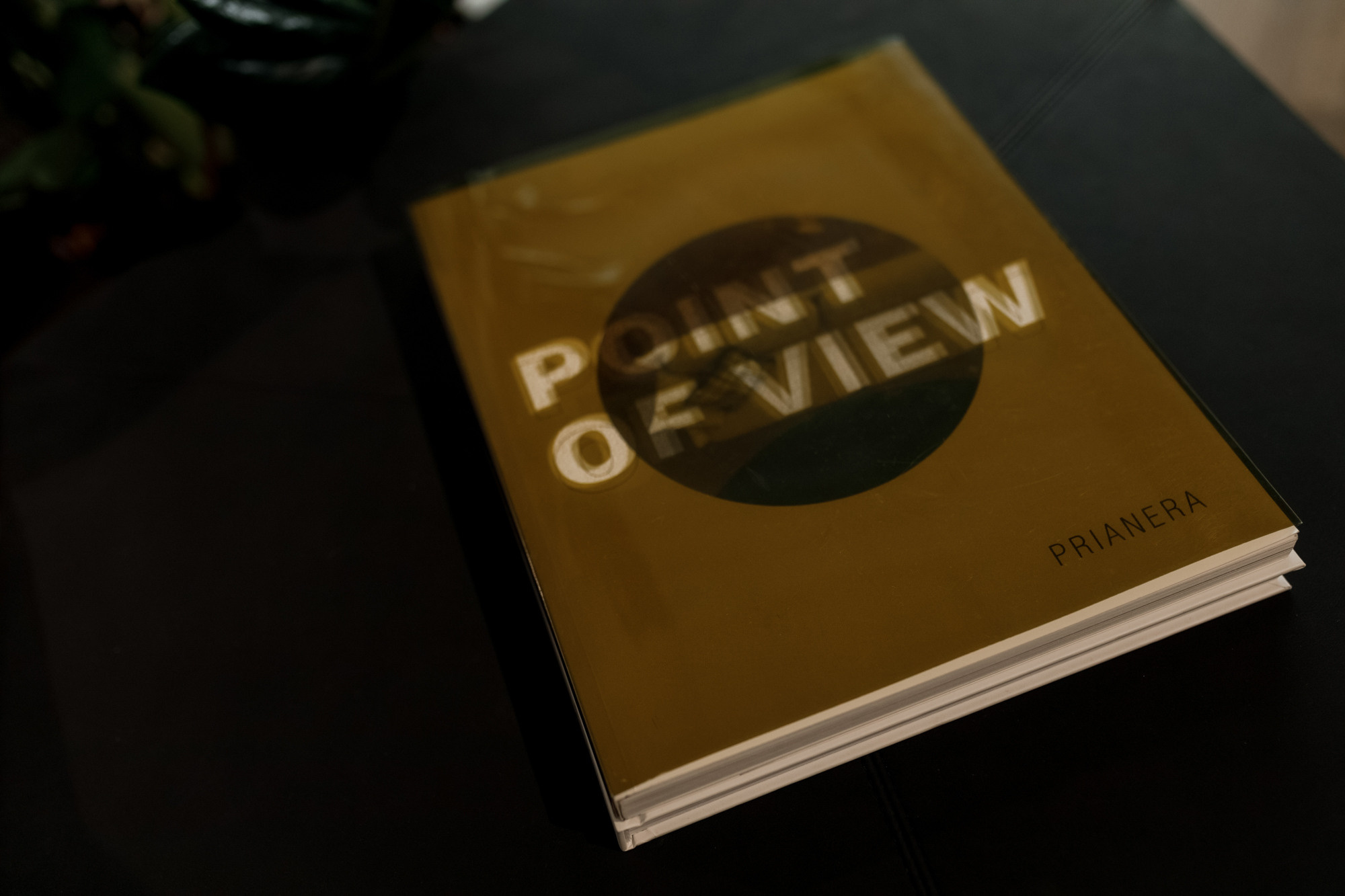 Открытие Prianera. Свадебный и эвент фотограф в Санкт-Петербурге Власов Сергей