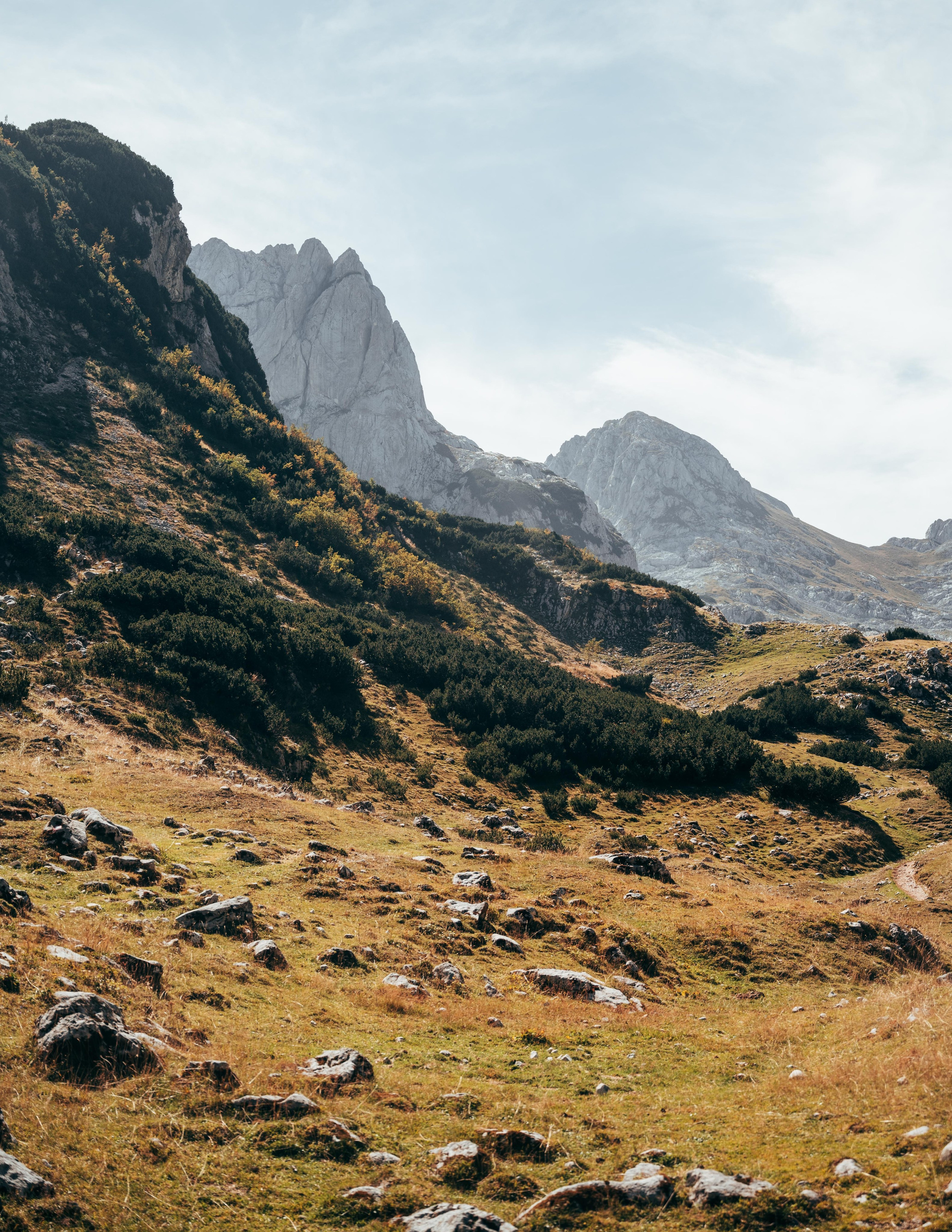 ДОЛИНА ЛОКВИЦЕ. ЧЕРНОГОРИЯ. Фотограф в Белграде Чугреева Елена