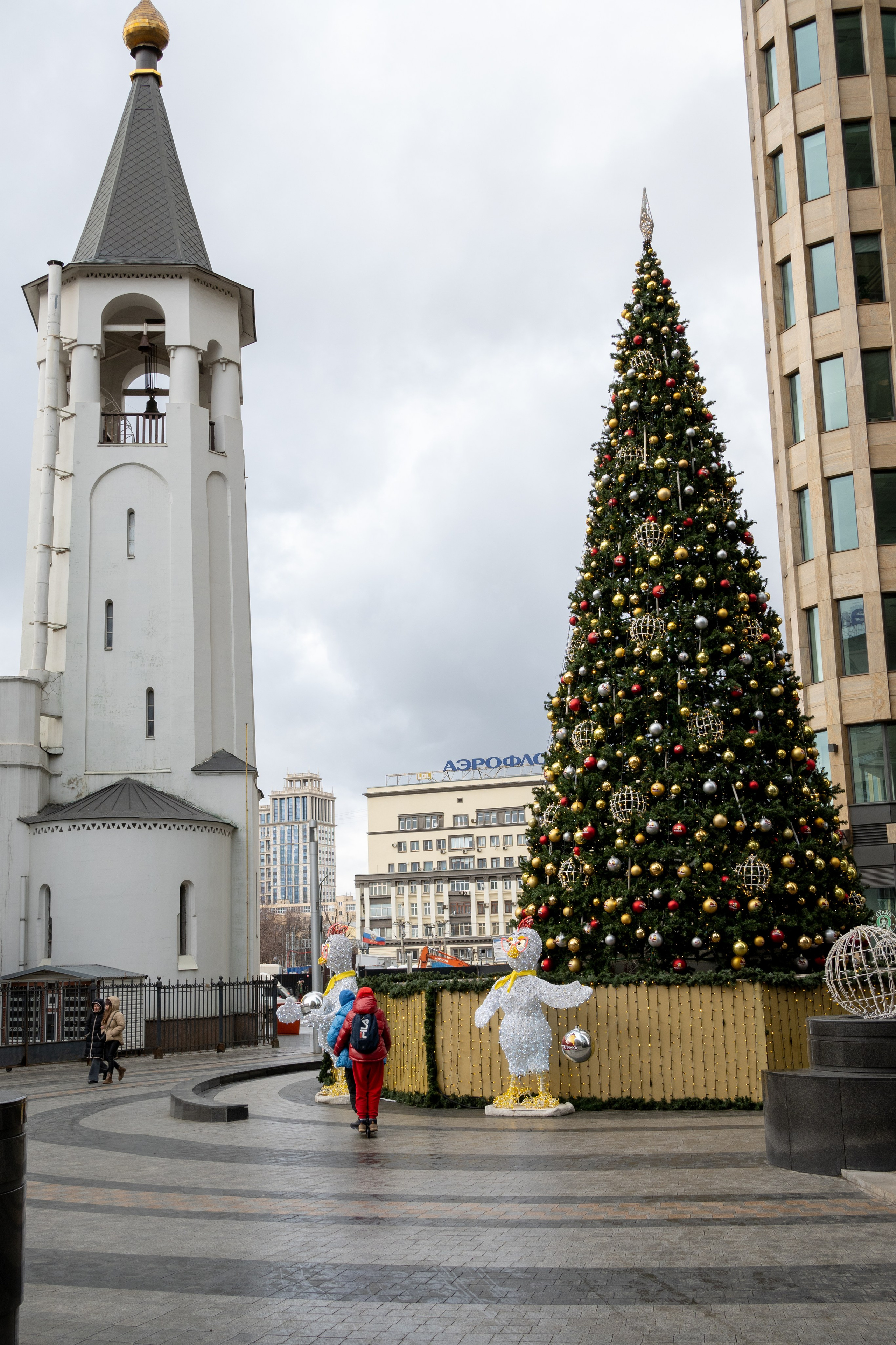 20250202 Белорусская-Охотный ряд. Дмитрий Ремизов. Фотография, как хобби