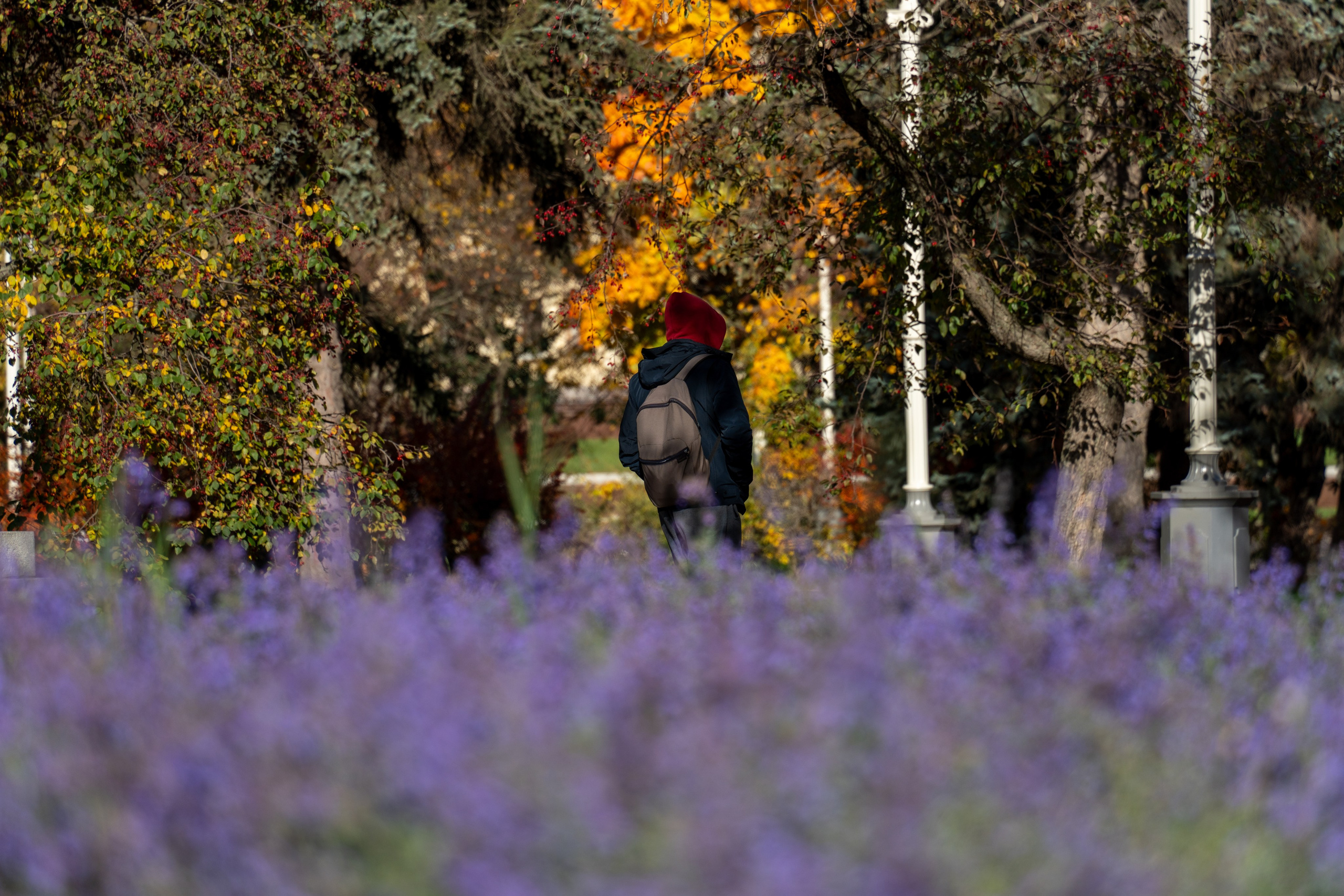 20251012 МГУ. Дмитрий Ремизов. Фотография, как хобби