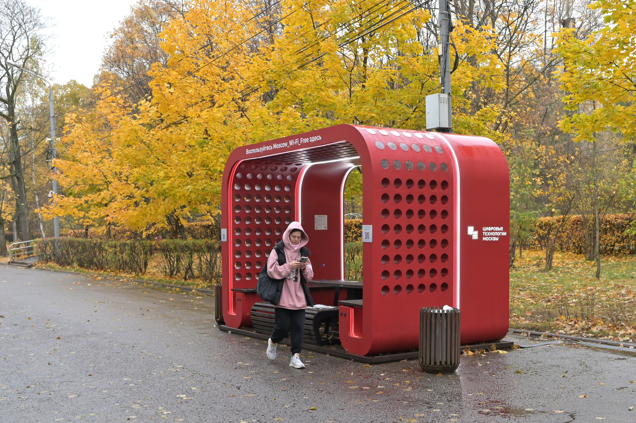 20241026 Сокольники. Дмитрий Ремизов. Фотография, как хобби