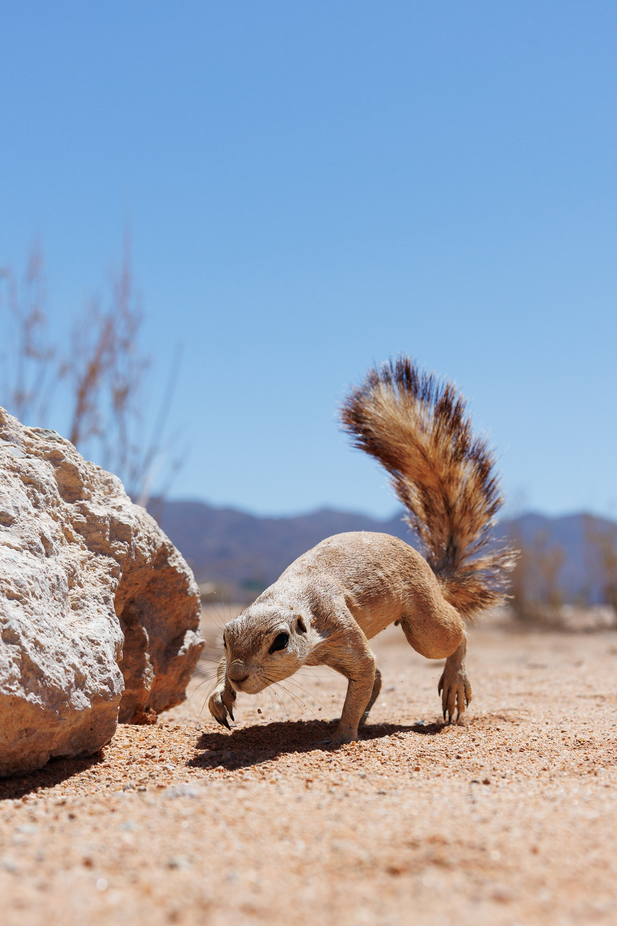 НАМИБИЯ. Роадтрип