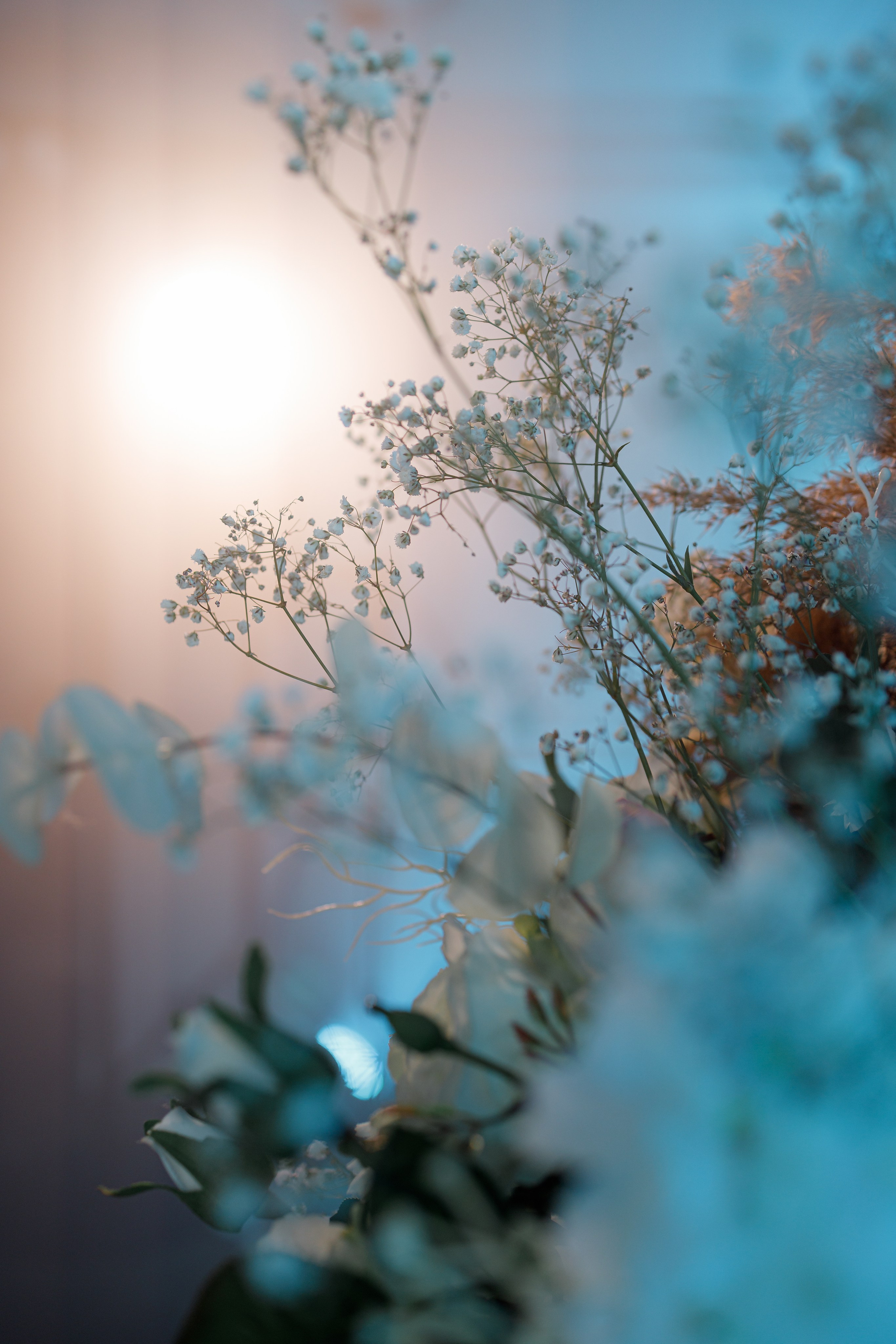 Даниил и Валерия. Свадебный и репортажный фотограф в Хабаровске Никита Быков