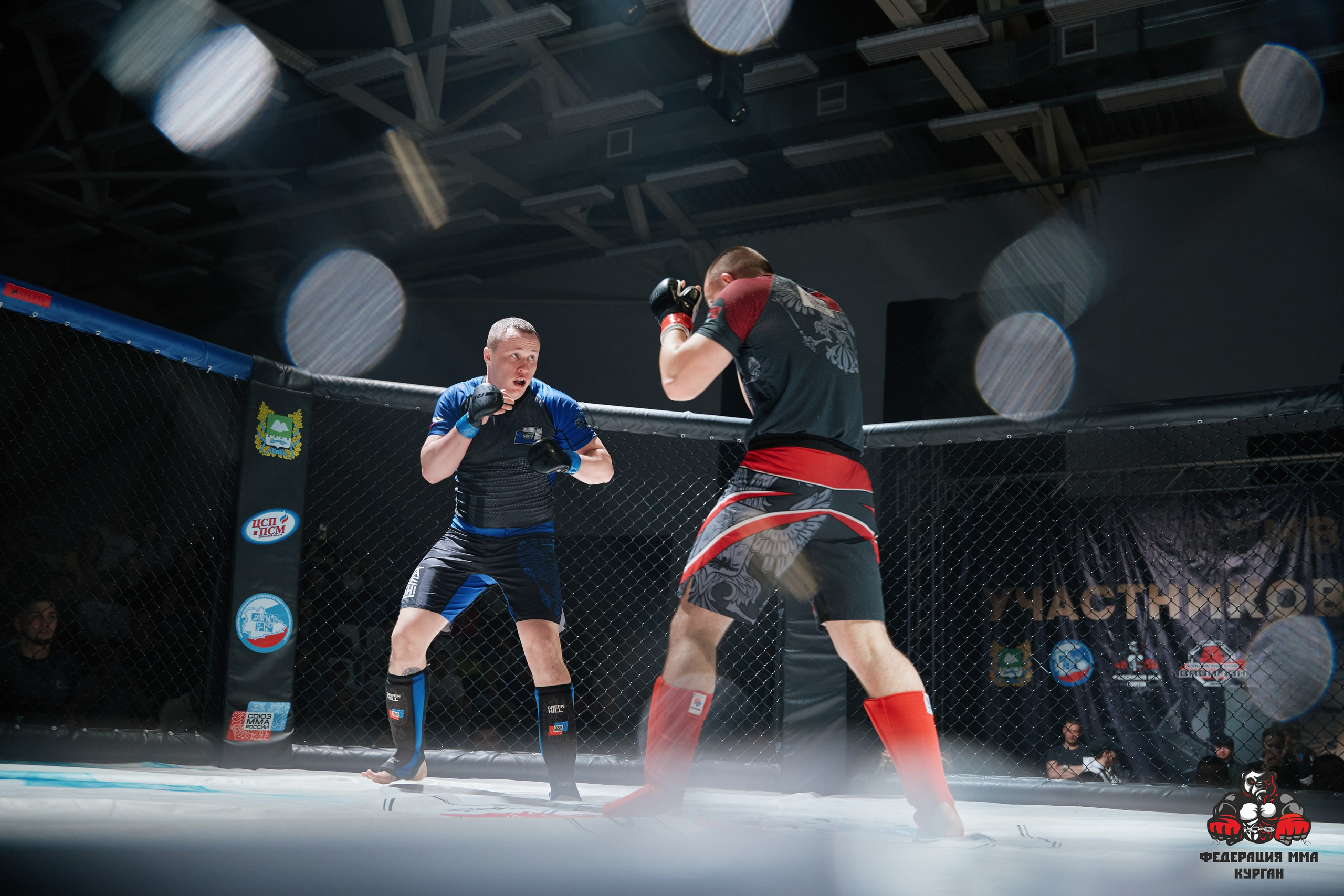 ММА. Фотограф и видеограф в Кургане Леонид Корнильев