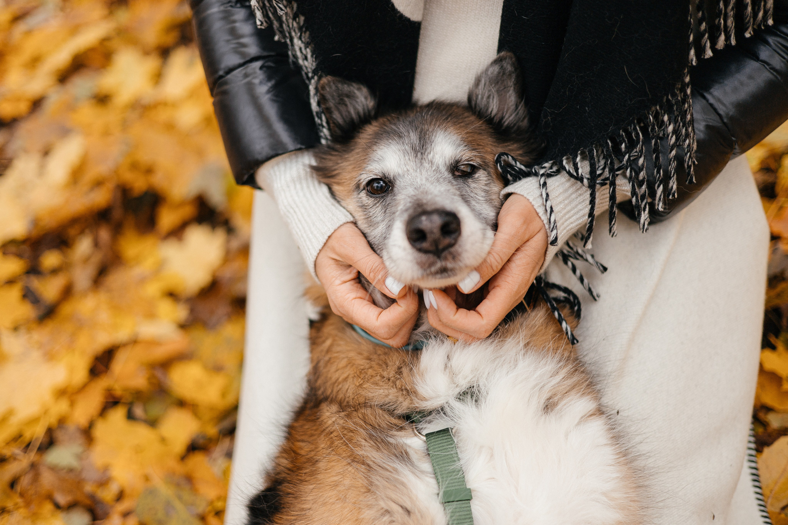 Аня и Ириска. Фотограф Анна Луценко Москва