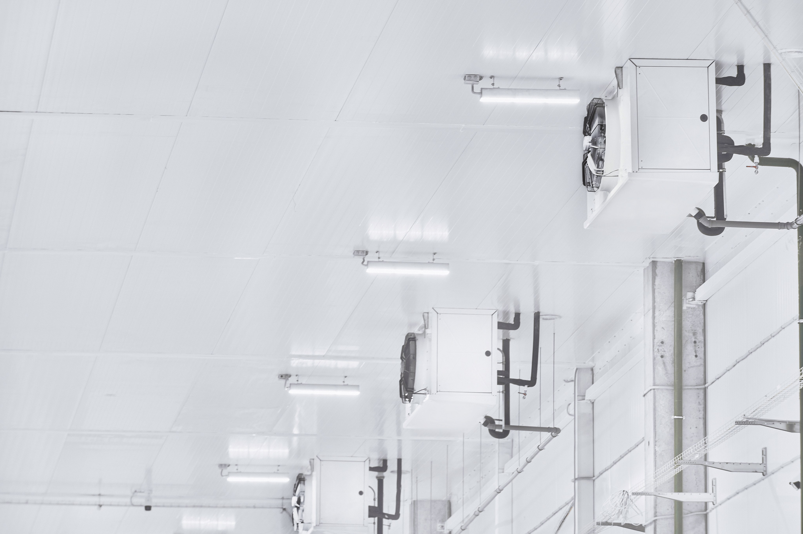 Ингениум — Инженерные системы. Фотограф Яковлев Роман — Красноярск