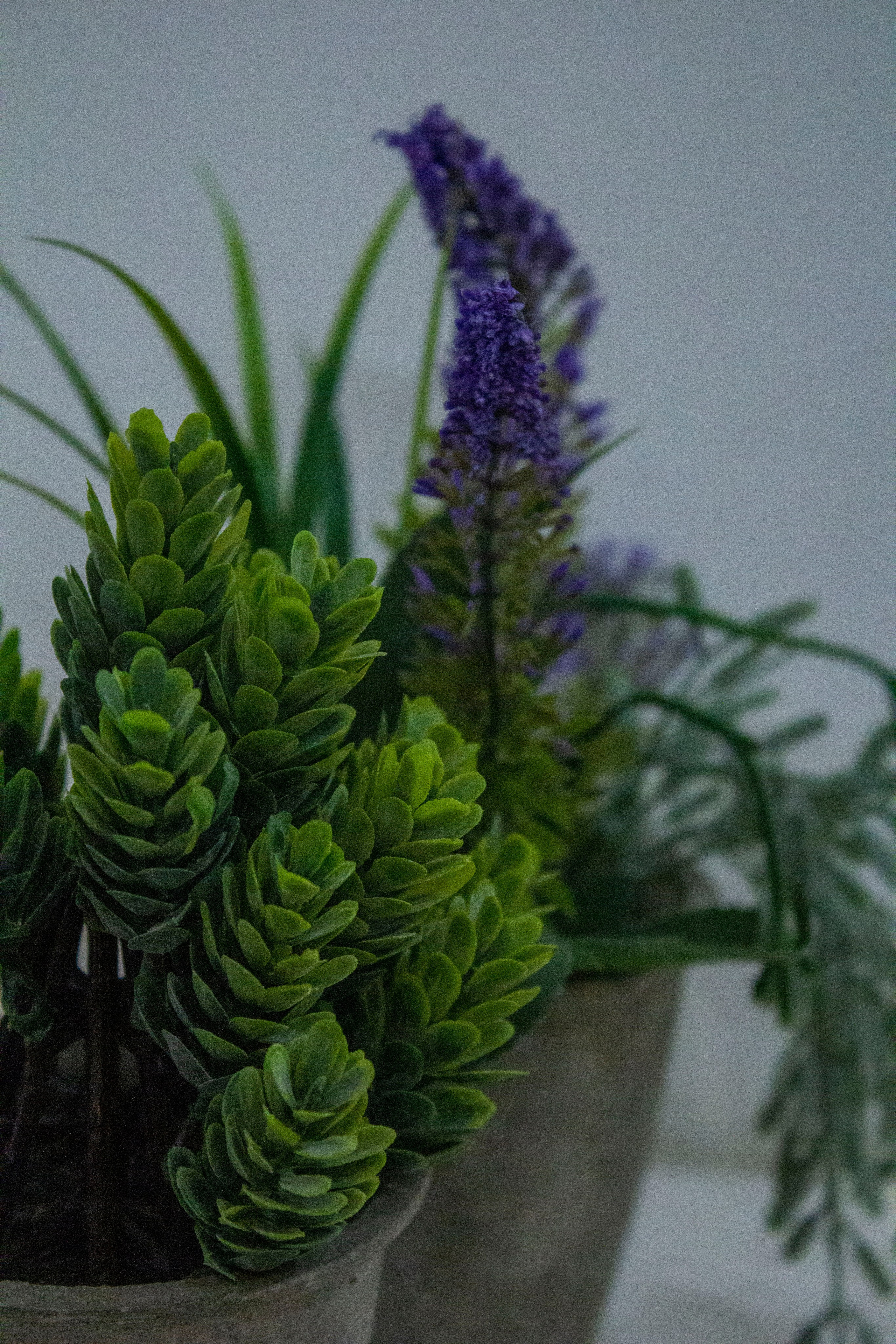 Play DigitalArt 2024