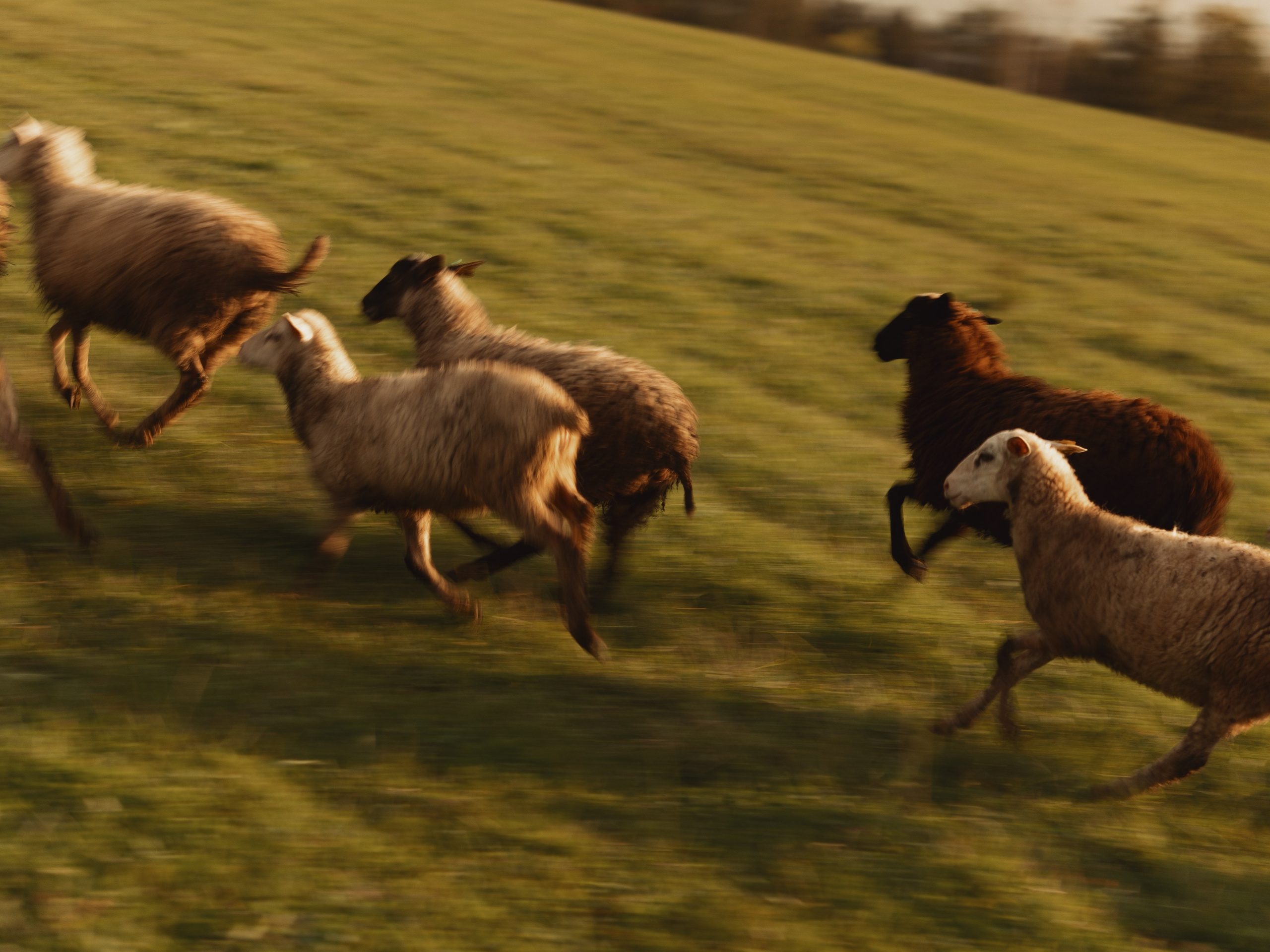 Даня. Фотограф Зиновьев Илья, Москва