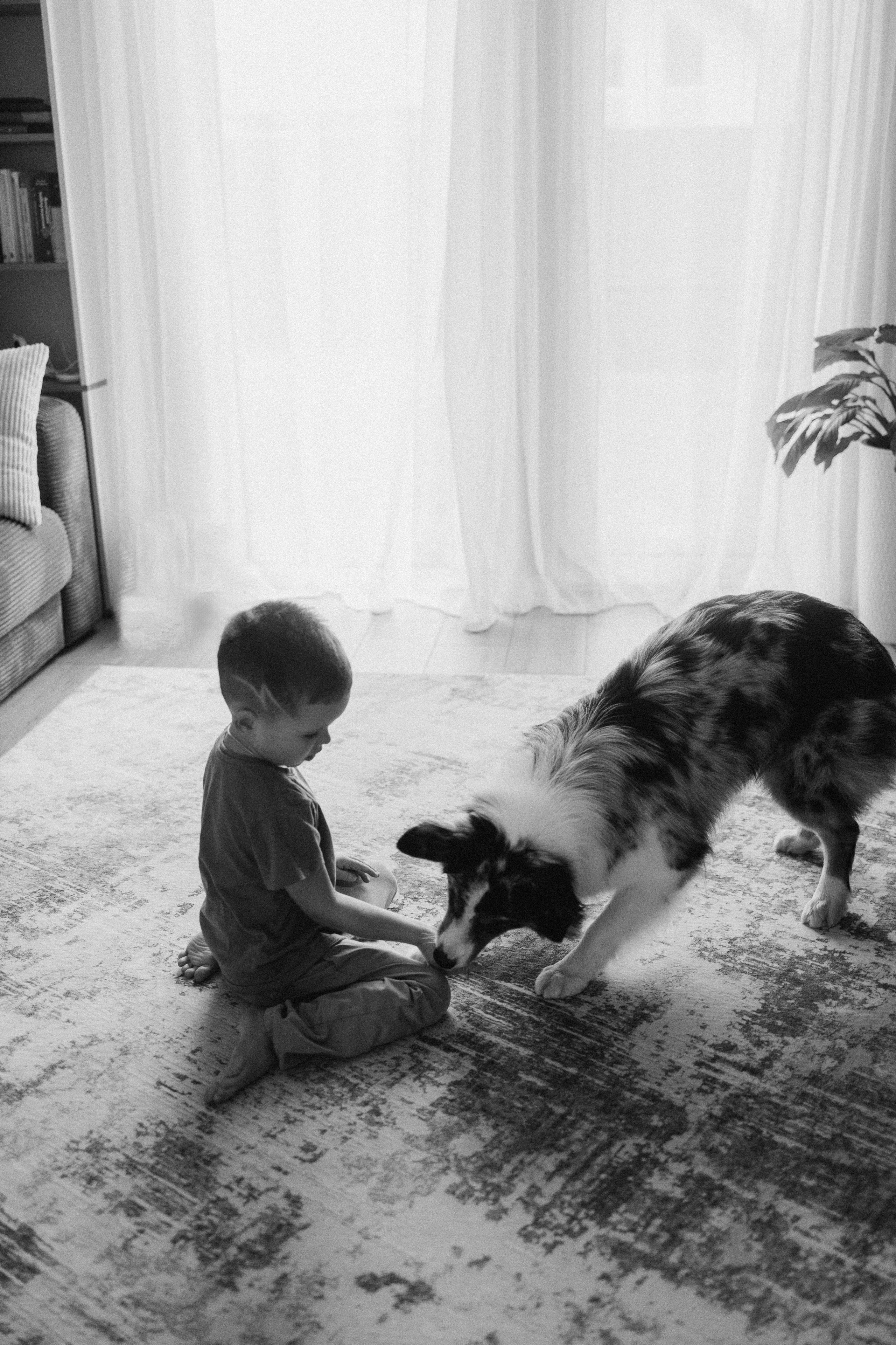 Появление брата. Фотограф из Петербурга