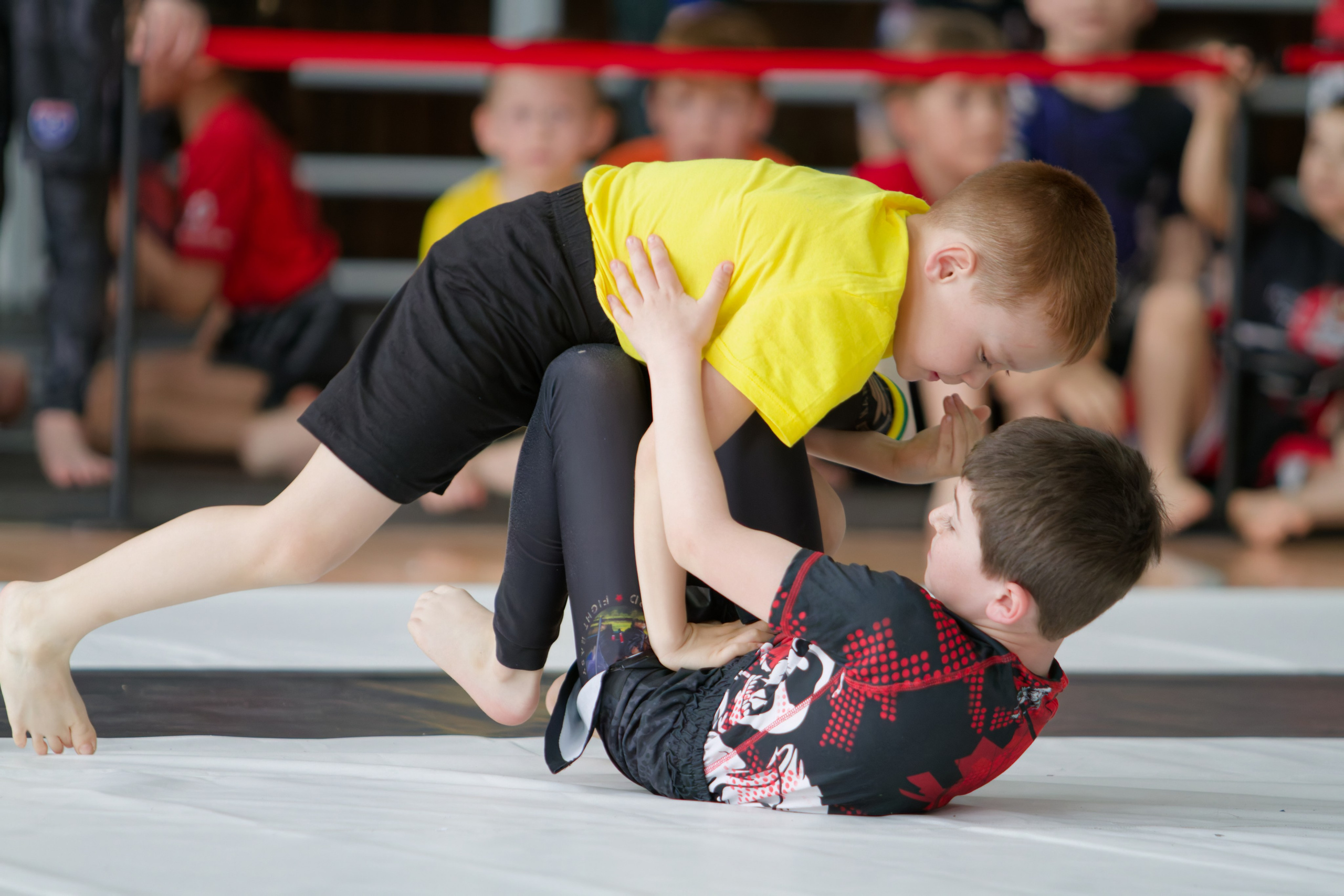 Борьба. Джиу-джитсу 26.04.2025. Репортажный и спортивный фотограф в г. Пермь Зильберг Павел