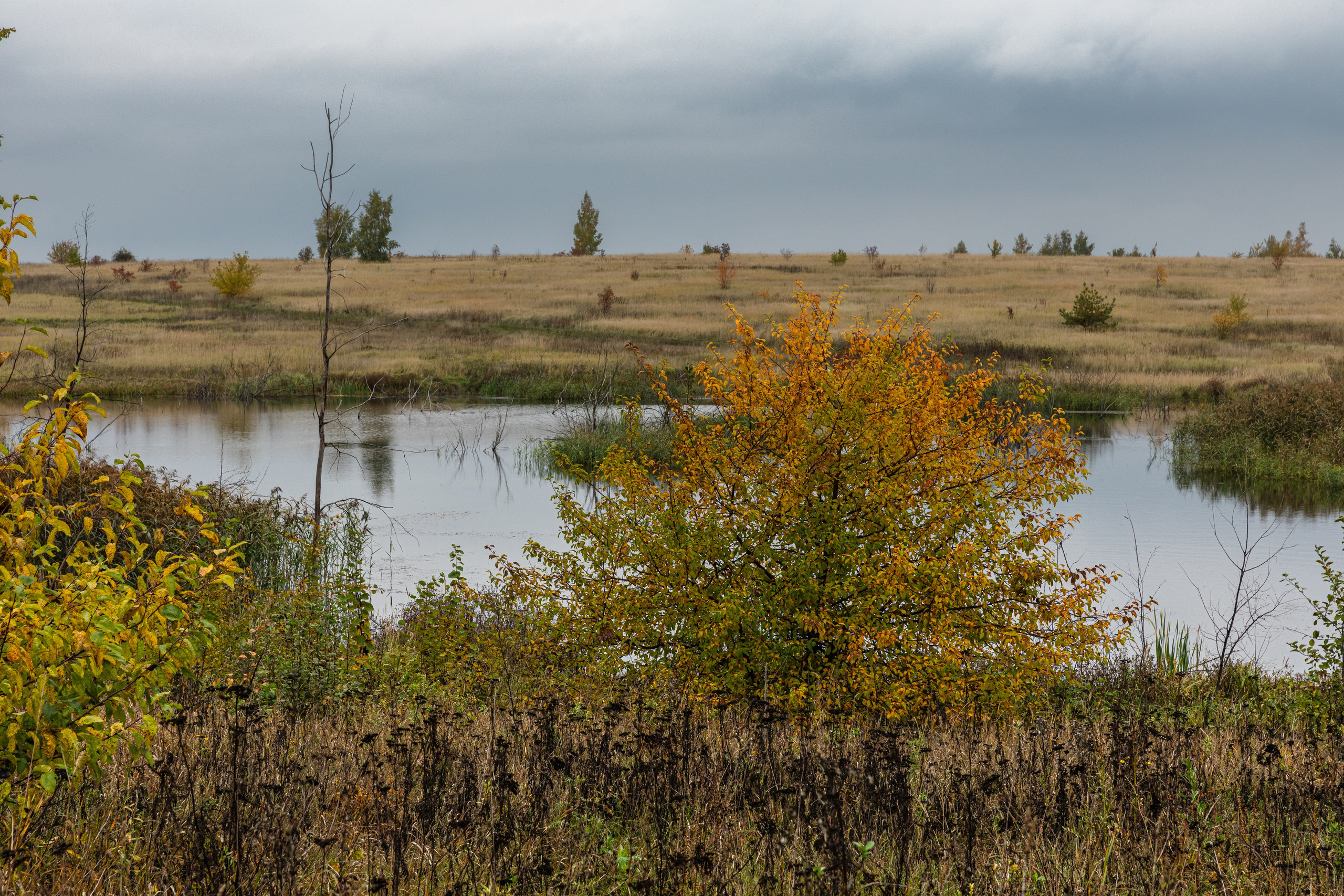Кондуки. Октябрь 2023. Фотографии