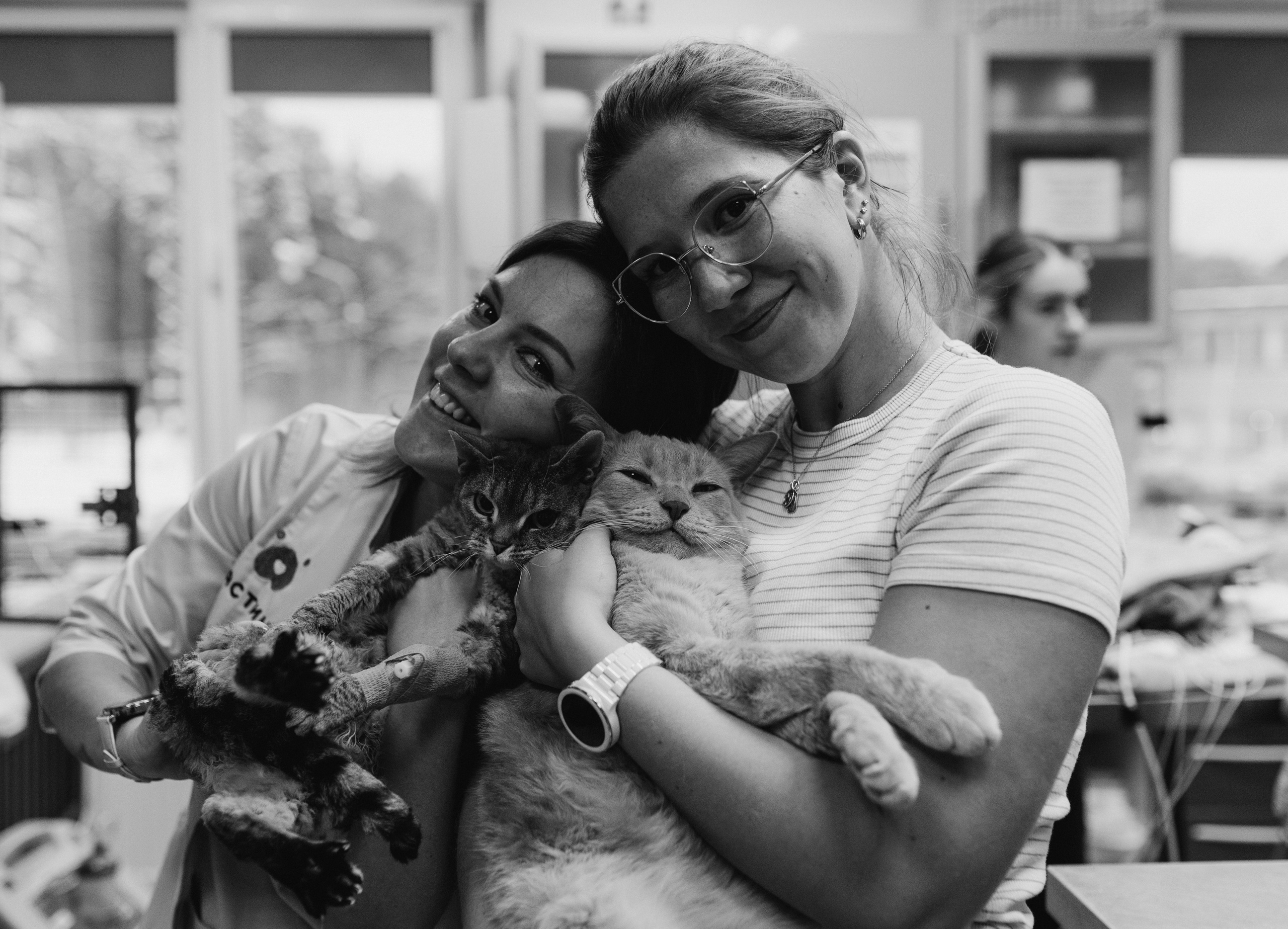 VetLife. Татьяна Афонина | Фотограф