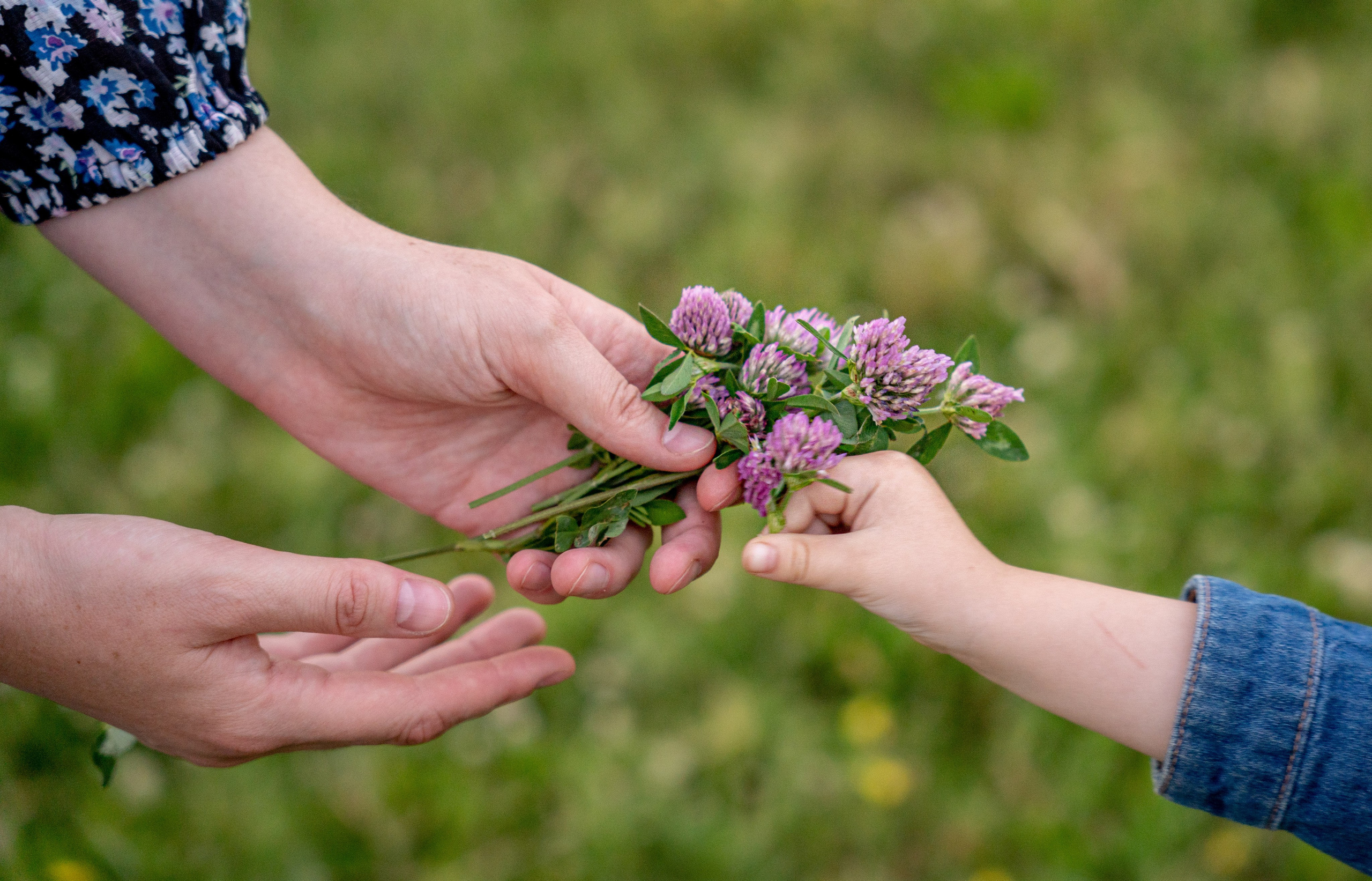 Милена Дина. Детский и семейный фотограф в Краснознаменске Гостеева Екатерина