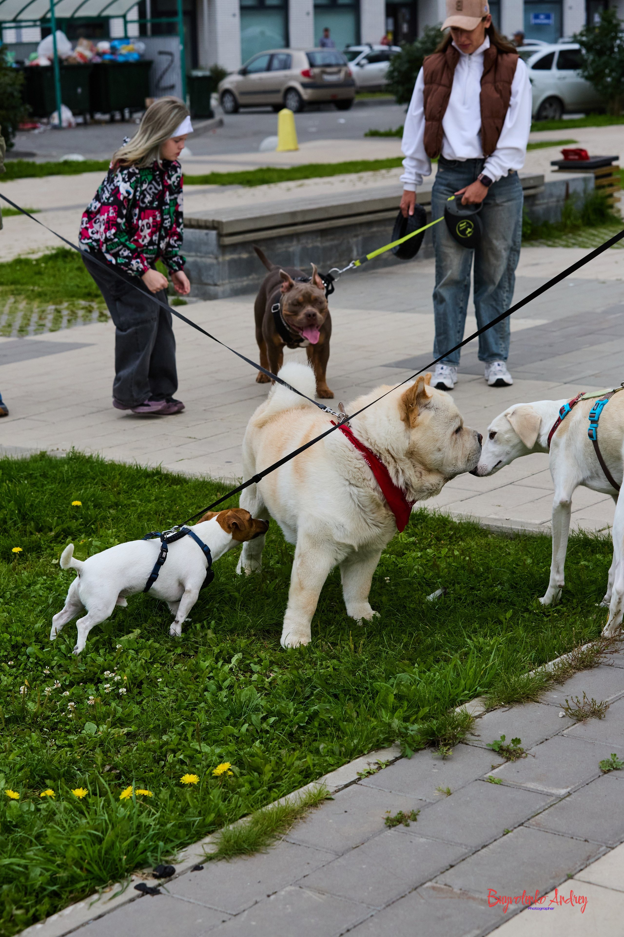 Проект фотопрогулка с хвостиком. Buyvolenko Andrey