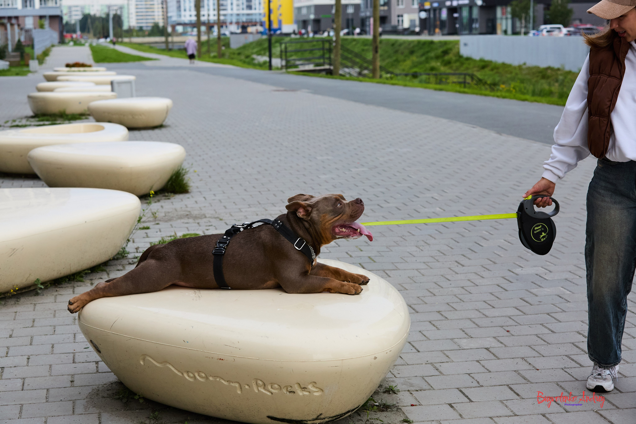 Проект фотопрогулка с хвостиком. Buyvolenko Andrey