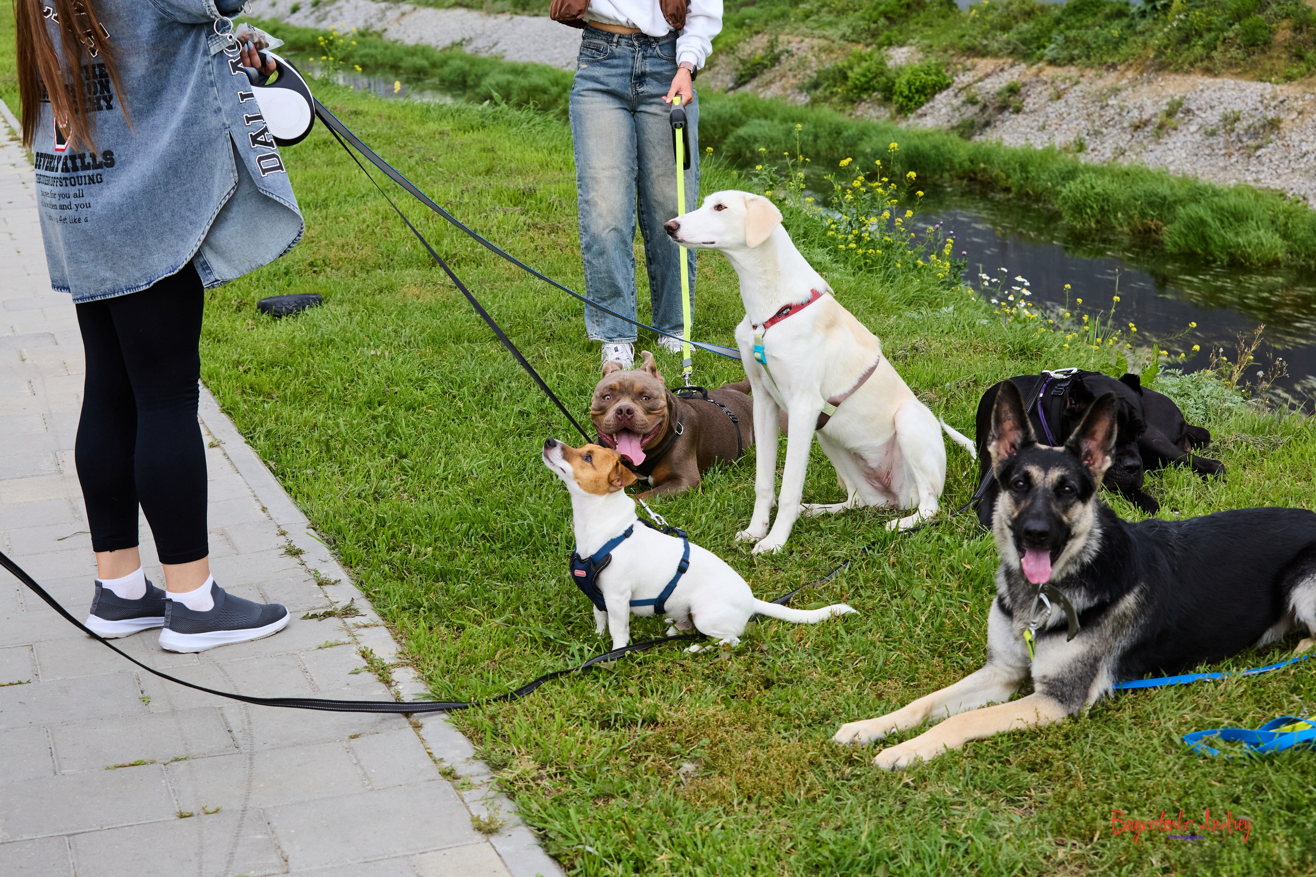 Проект фотопрогулка с хвостиком. Buyvolenko Andrey