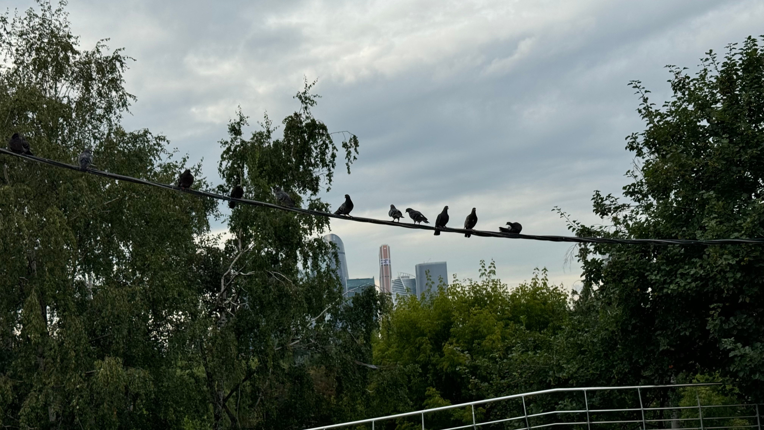 Московские пленэры. Арт-вечеринки и мастер-классы в Москве для взрослых и детей