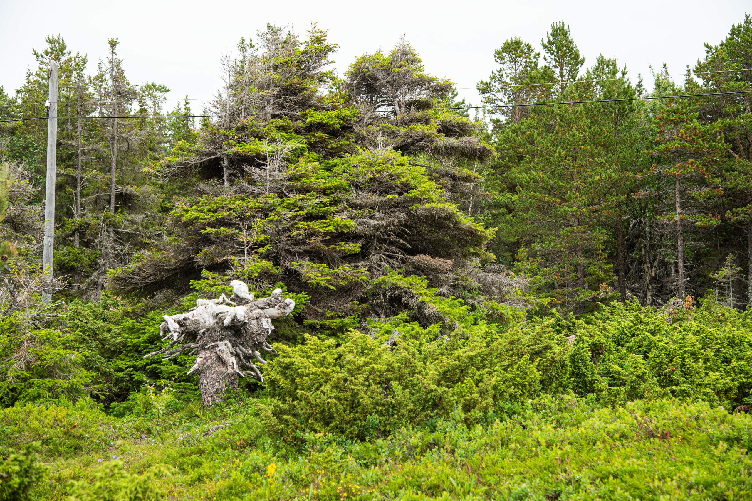 Кольский полуостров. Фотографирую для себя, своей семьи и друзей!