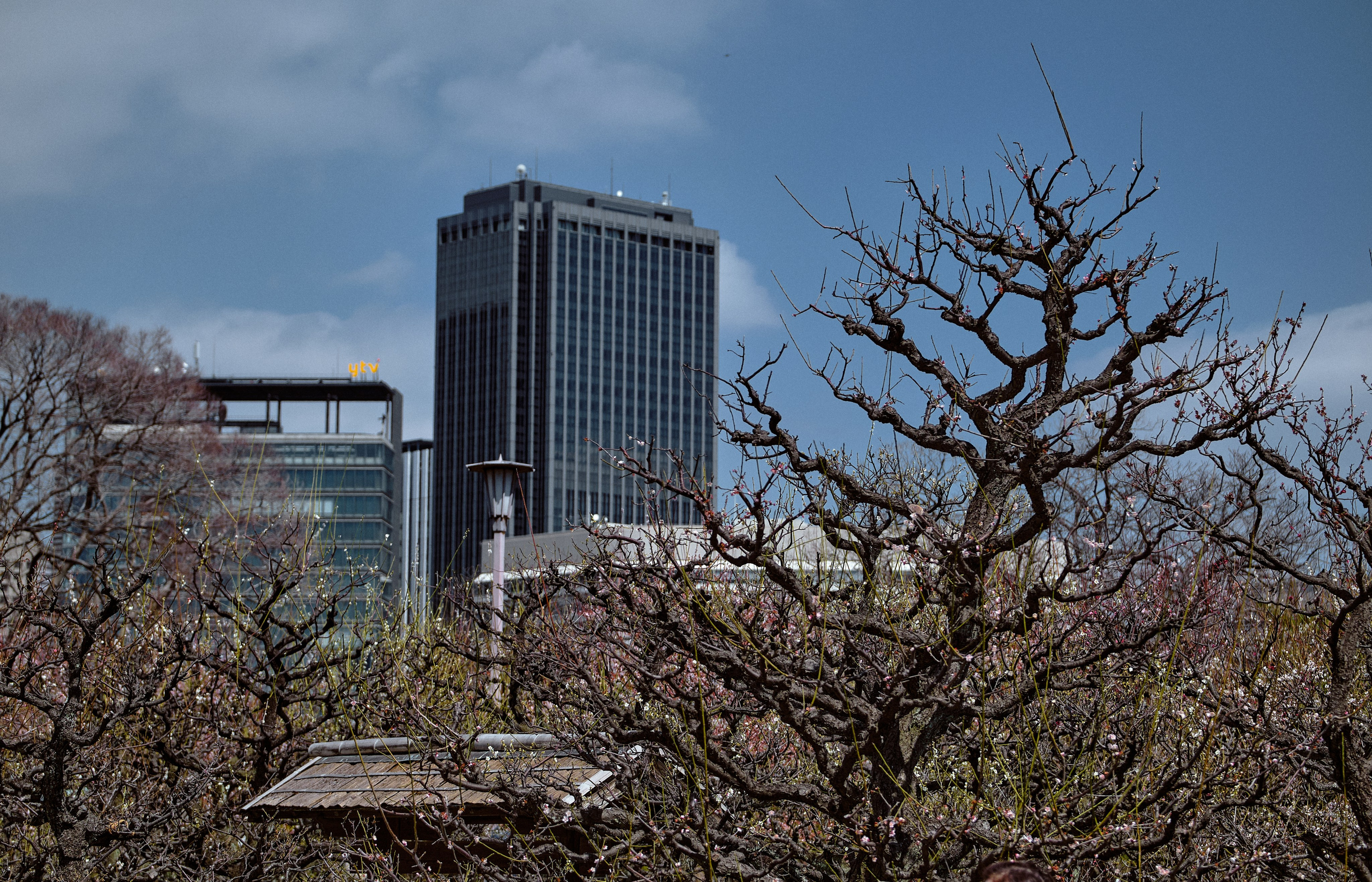 Japan / Osaka≫Kyoto≫Tokyo. Aleksandr Kobtsev