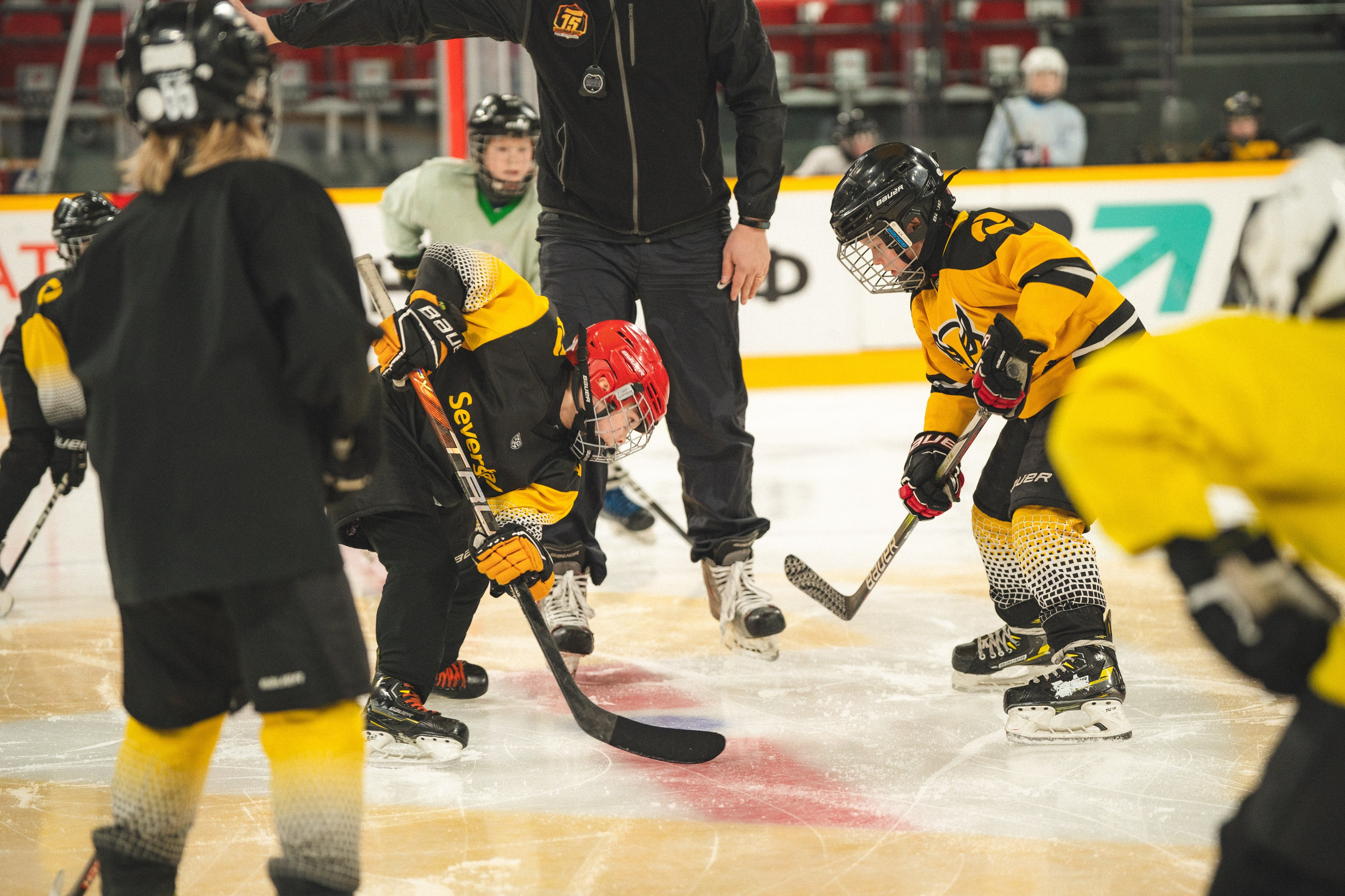 ХК Северсталь (младшая группа). Череповец. Zekons. Фото, видео, нейросети