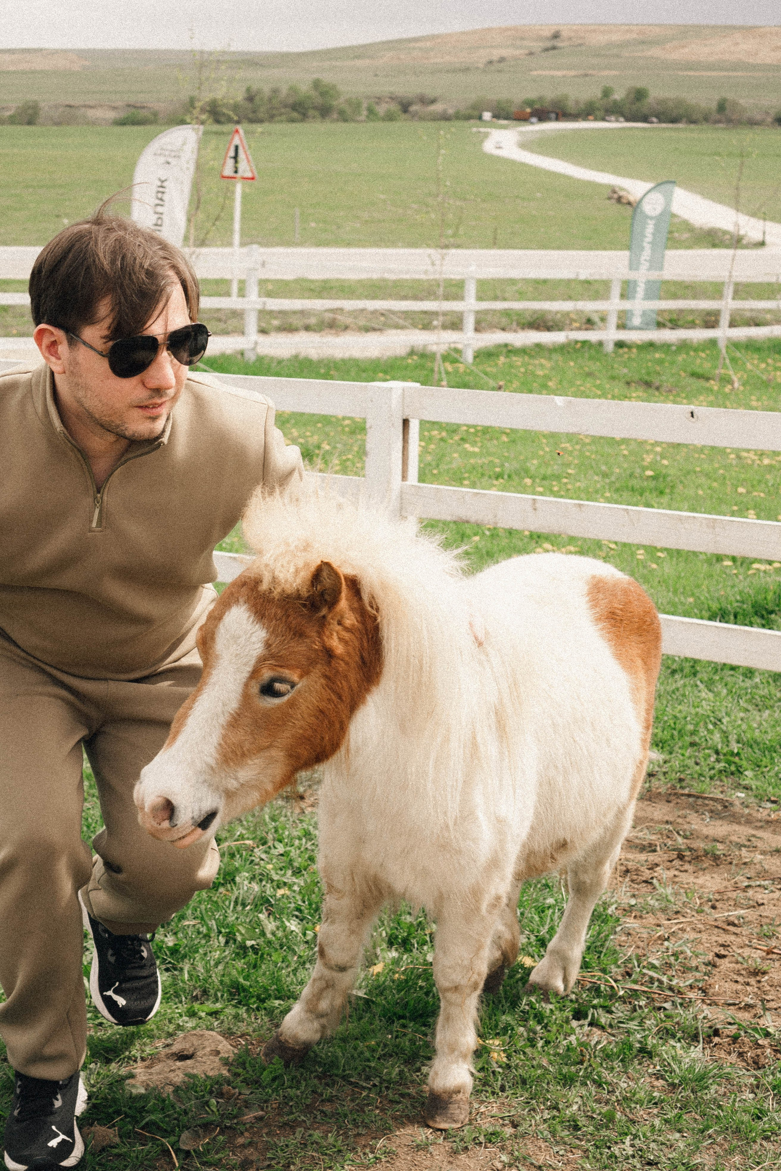 Ферма Альпак. Профессиональный фотограф, Санкт-Петербург — Виктория Богомолова