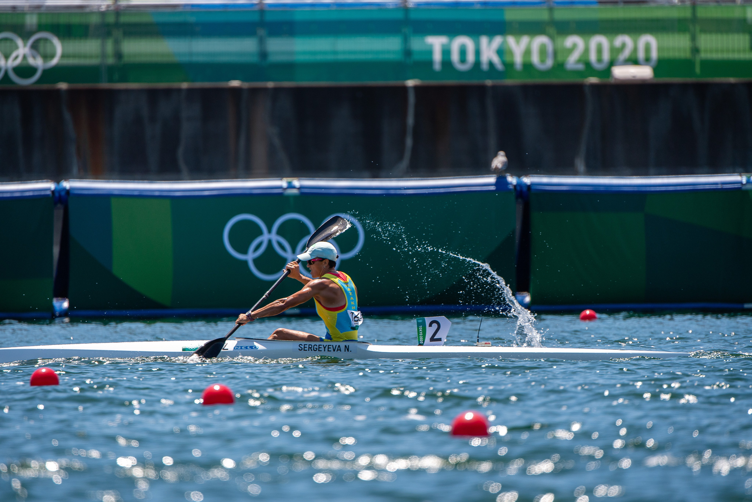 Олимпийские игры. Профессиональный фотограф в Алматы Влад Семёнов