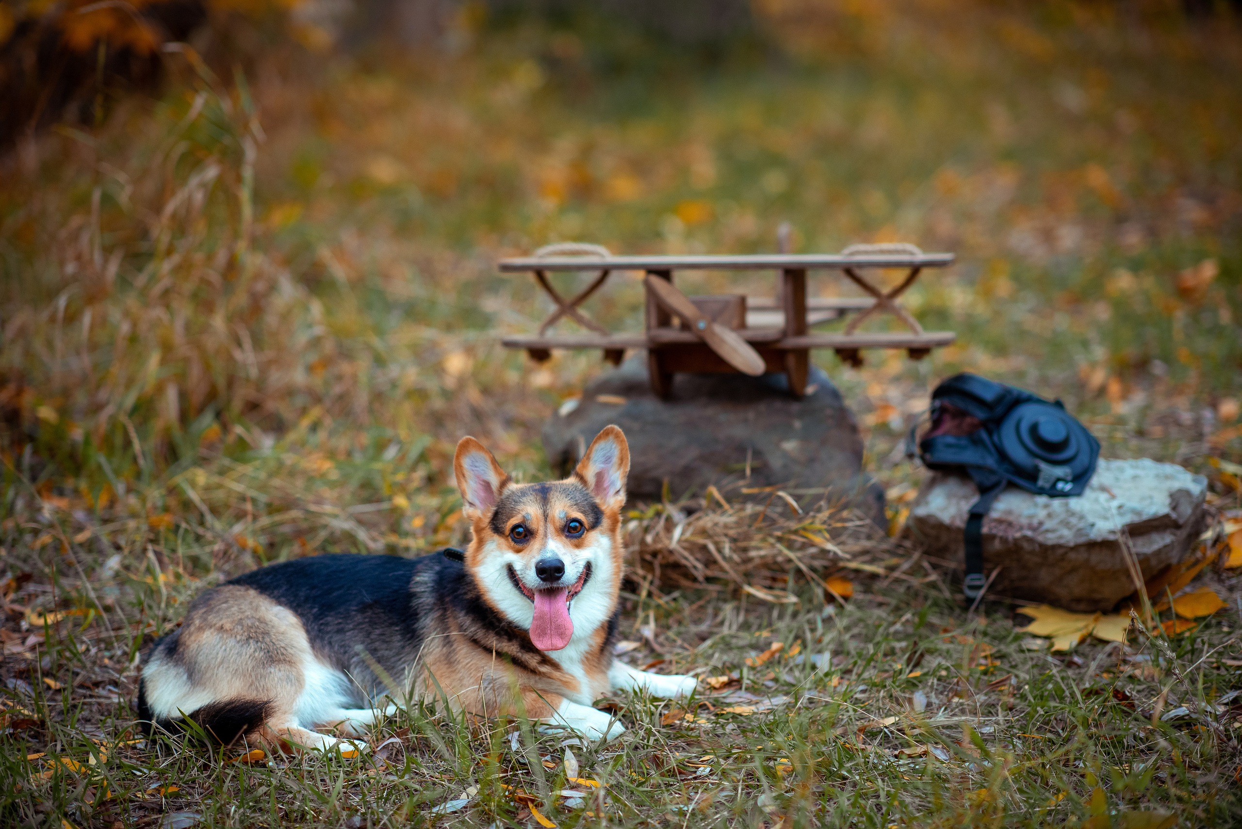 Семья и дети. Детский, свадебный и семейный фотограф в Волгограде Наталья Давыдова