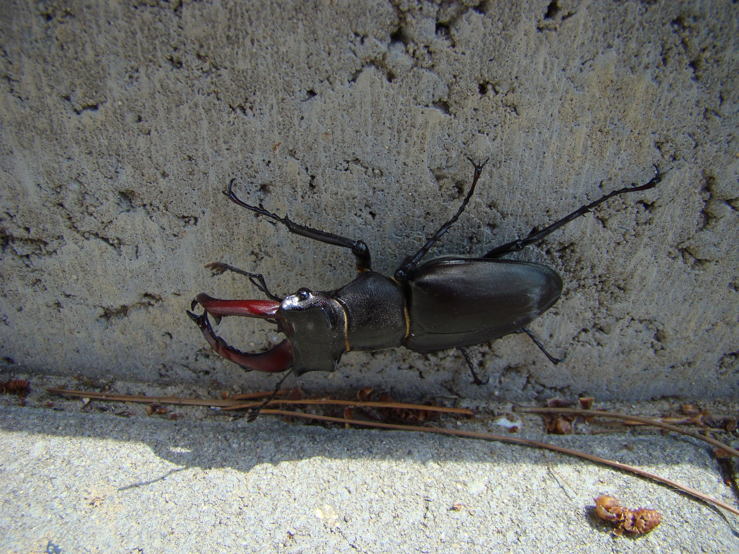 Кабардинка (фото Зевиных) 25.06-24.07.2008. Семейный, Свадебный фотограф СПБ Питер— Романова Екатерина