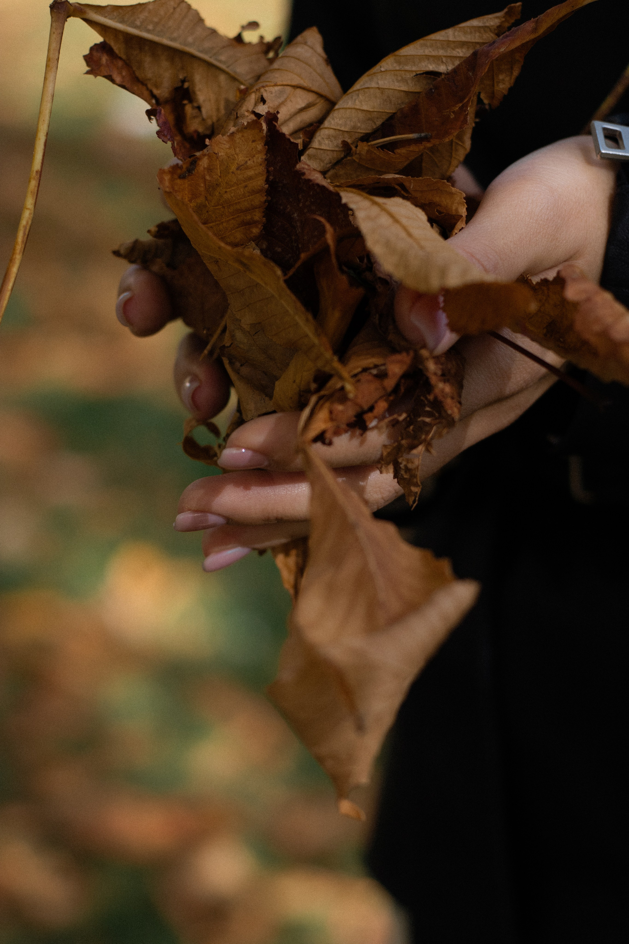 Olya + Evgeniy. Lusy Redina | Семейный Фотограф | Волгоград