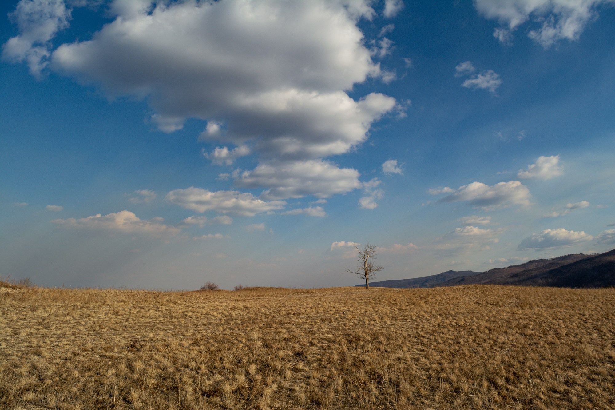 Разное. Репортажный фотограф г. Чита