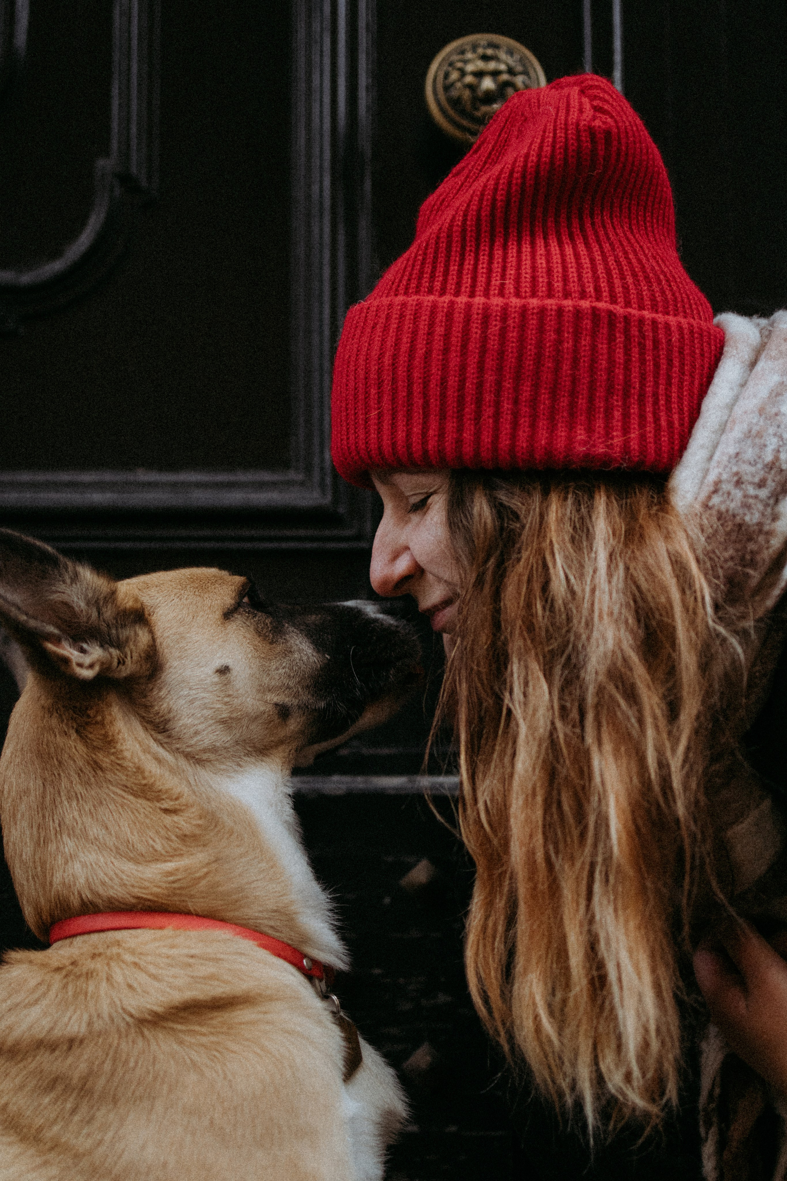 Саша, Ксюша и их банда. Фотораф — анималист Мария Шистка