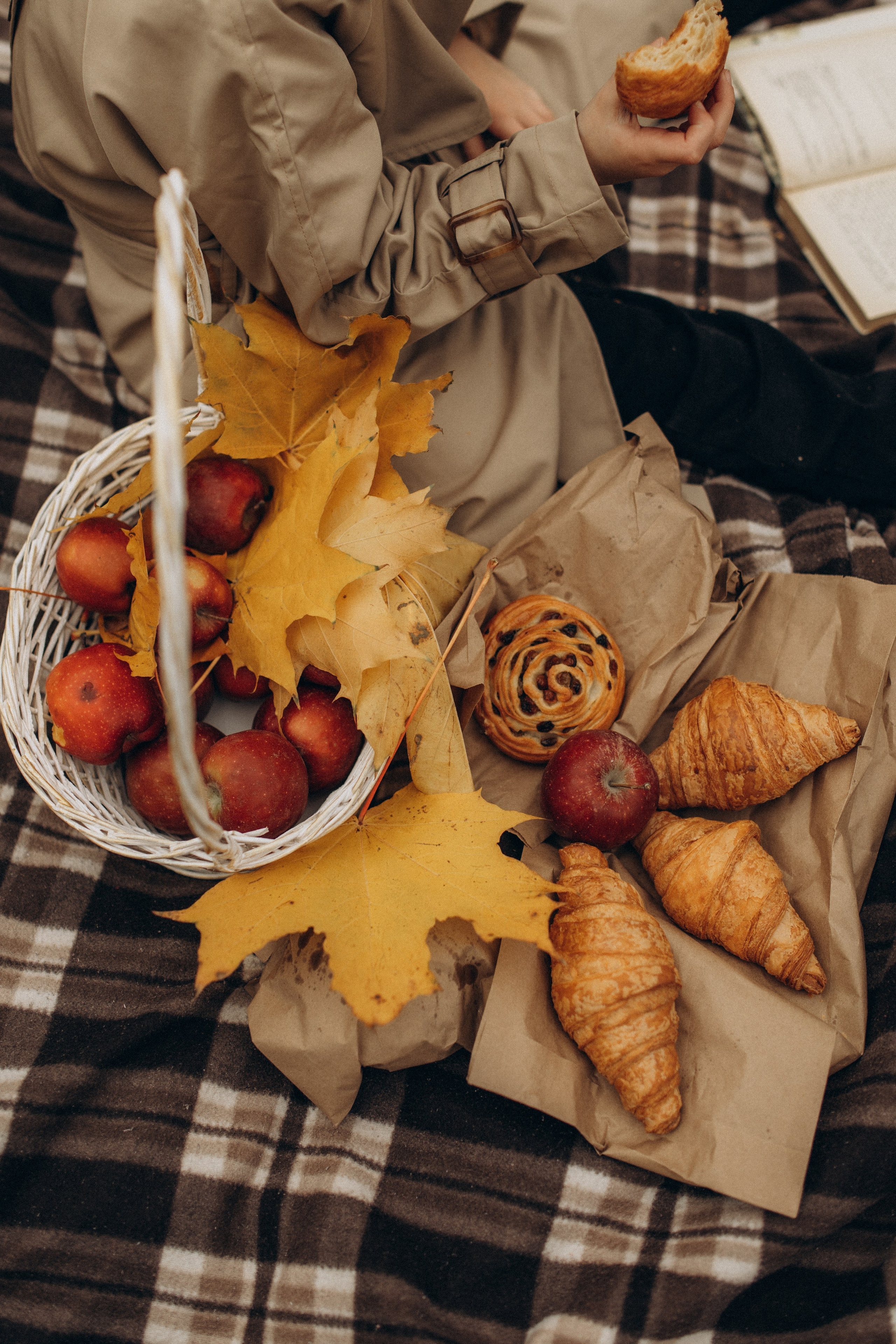 Елена, Владимир и Лея. Фотограф в Петербурге Ольга Стрельченко