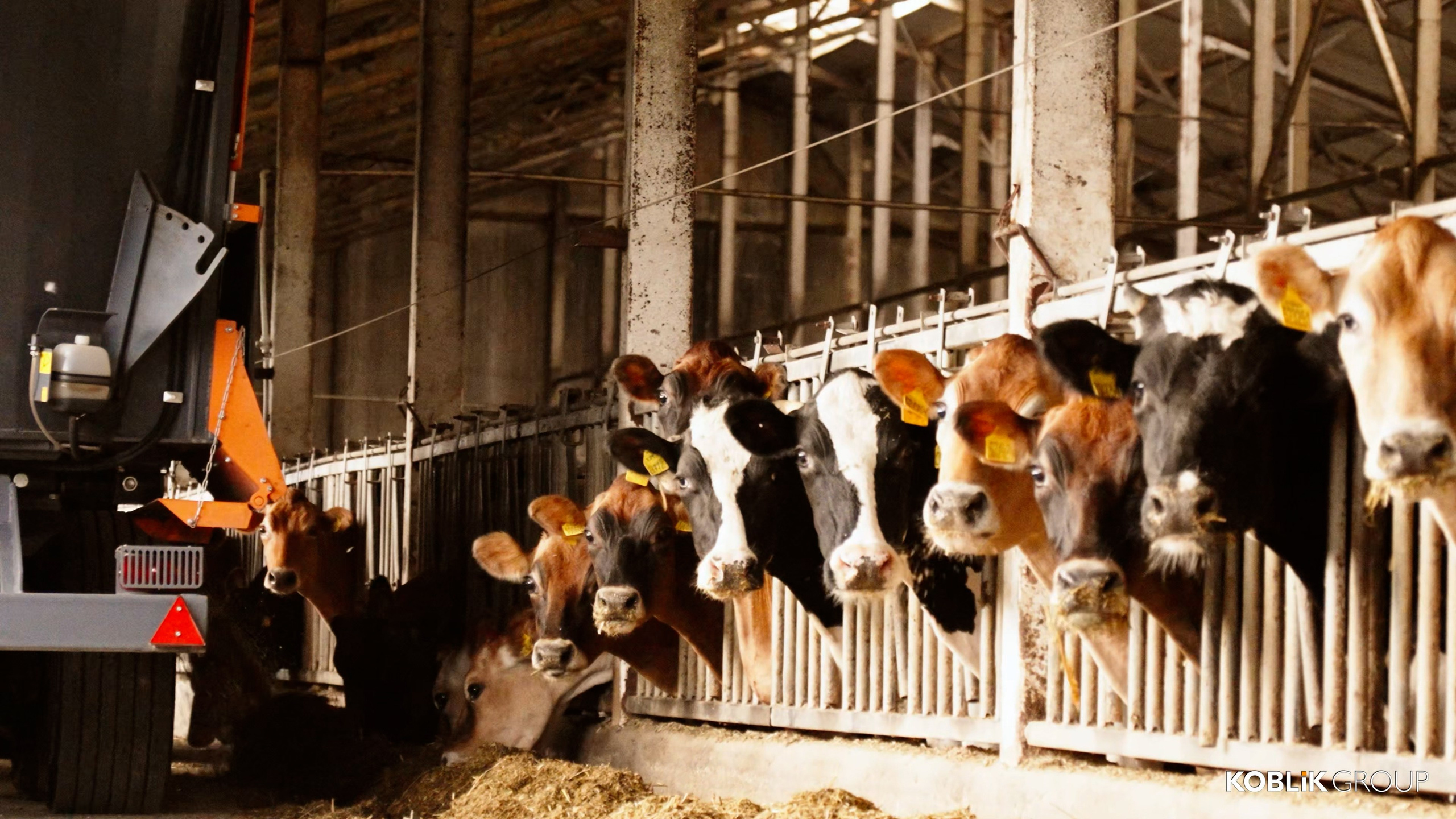 Аграриям и промышленности. Видеосъемка для бизнеса Воронеж