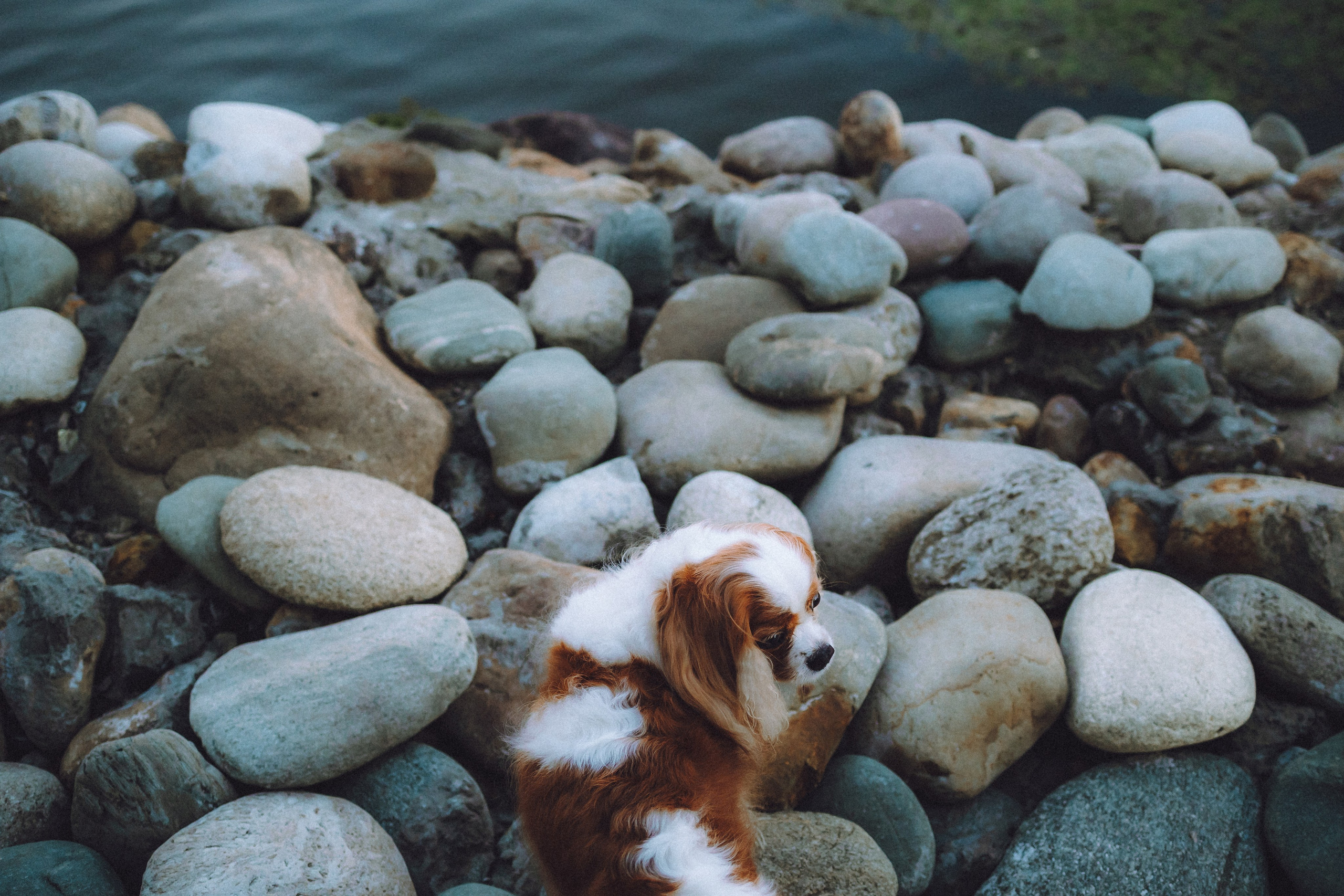 Наташа и Вики