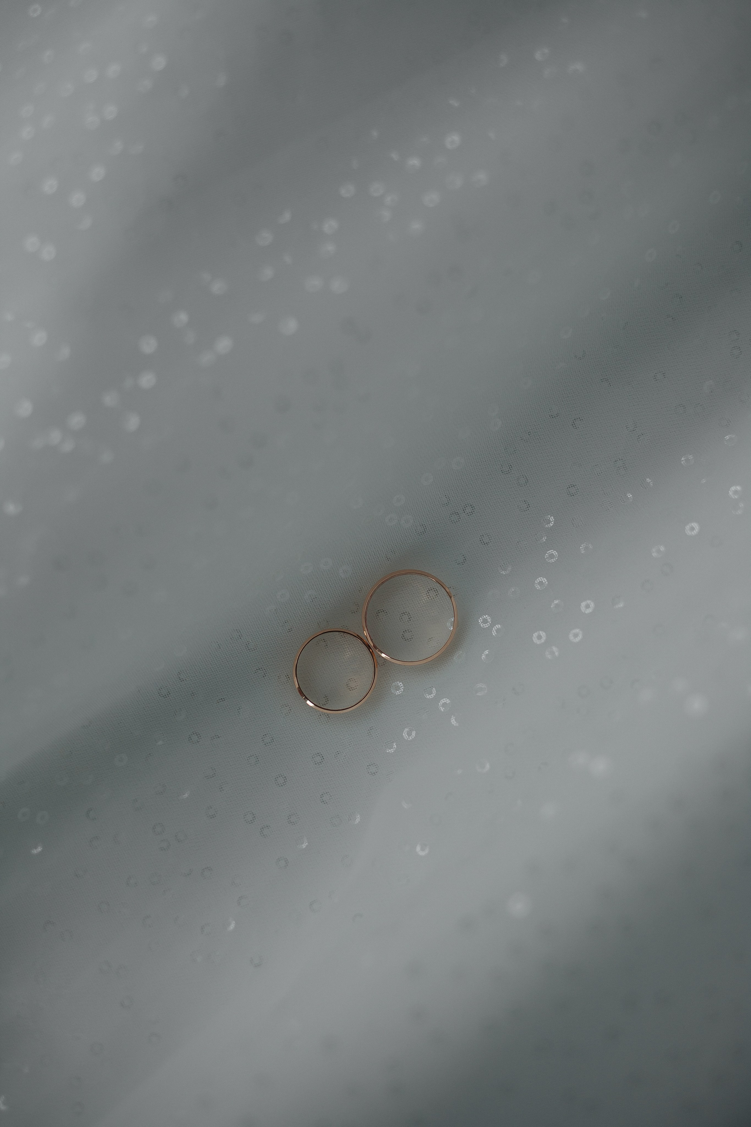 R & N. Фотограф Ольга Сапронова. Свадебный фотограф Ольга Сапронова