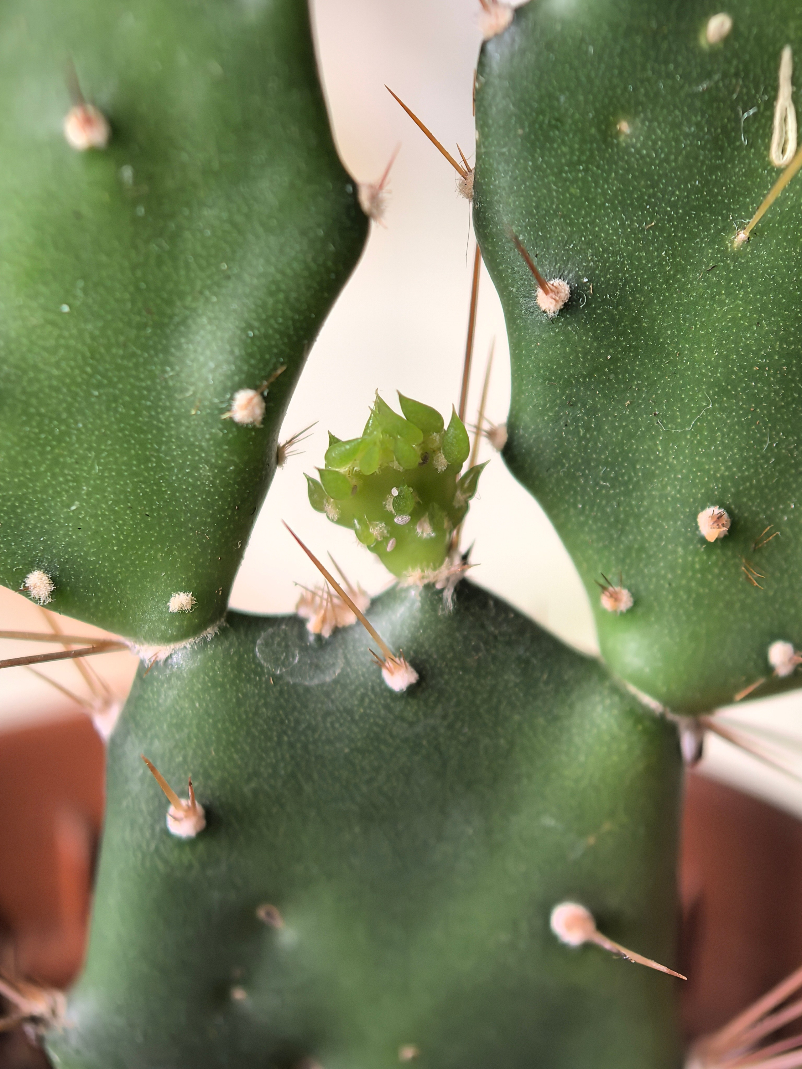 ПочтиМАКРО. Школьные выпускные альбомы в Москве Марина Николаева