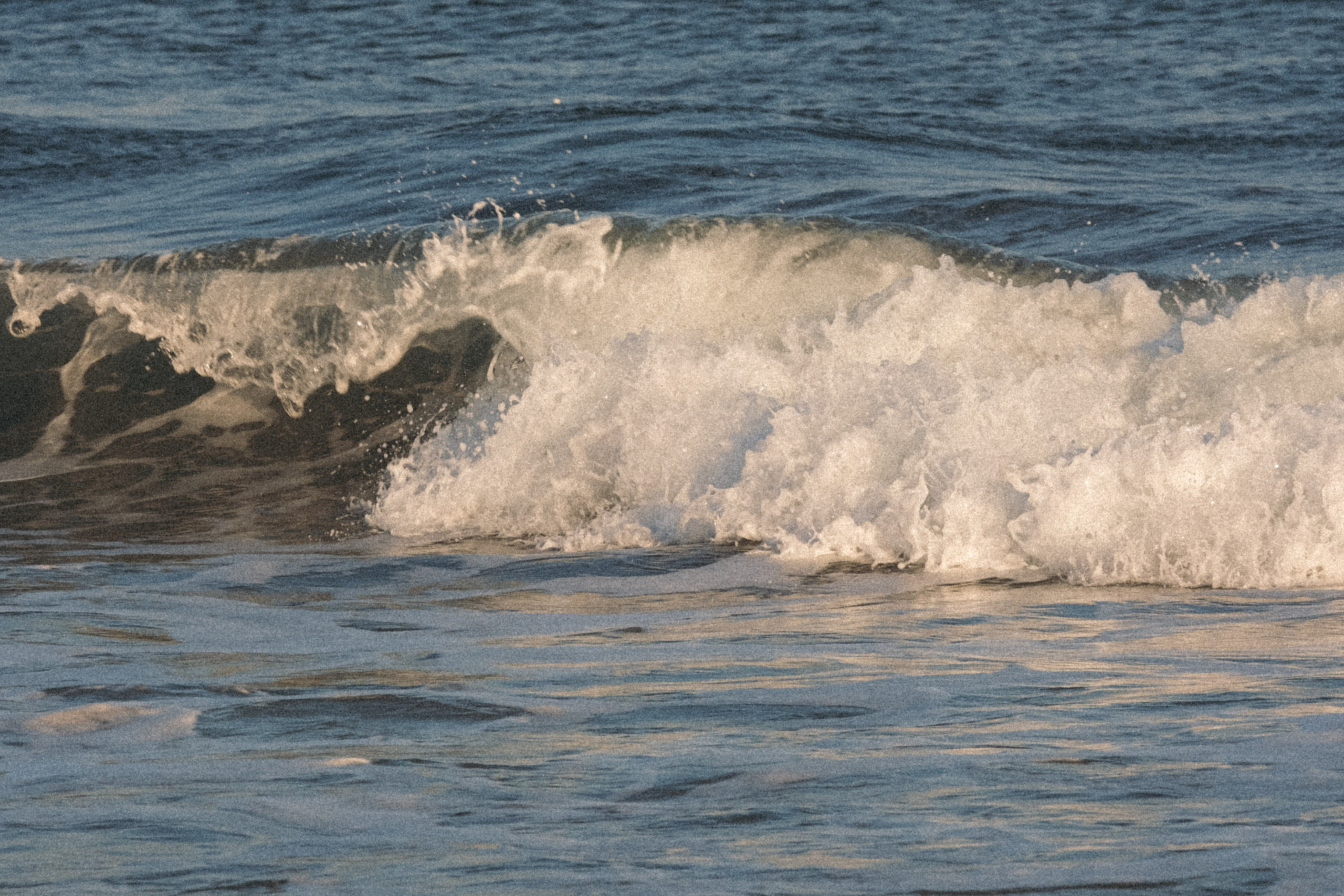 Тихий океан. Профессиональный фотограф, Санкт-Петербург — Виктория Богомолова