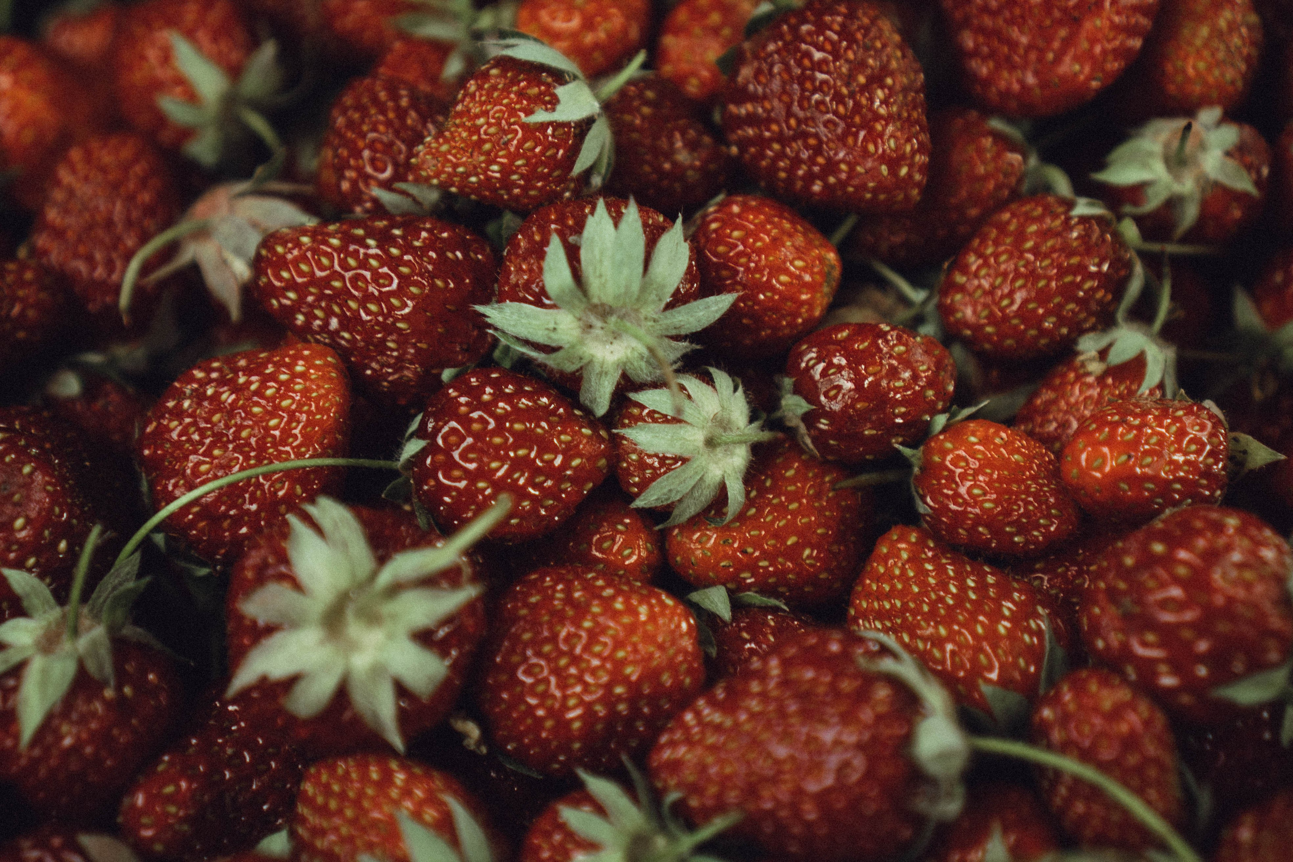 Кавказ. Профессиональный фотограф, Санкт-Петербург — Виктория Богомолова