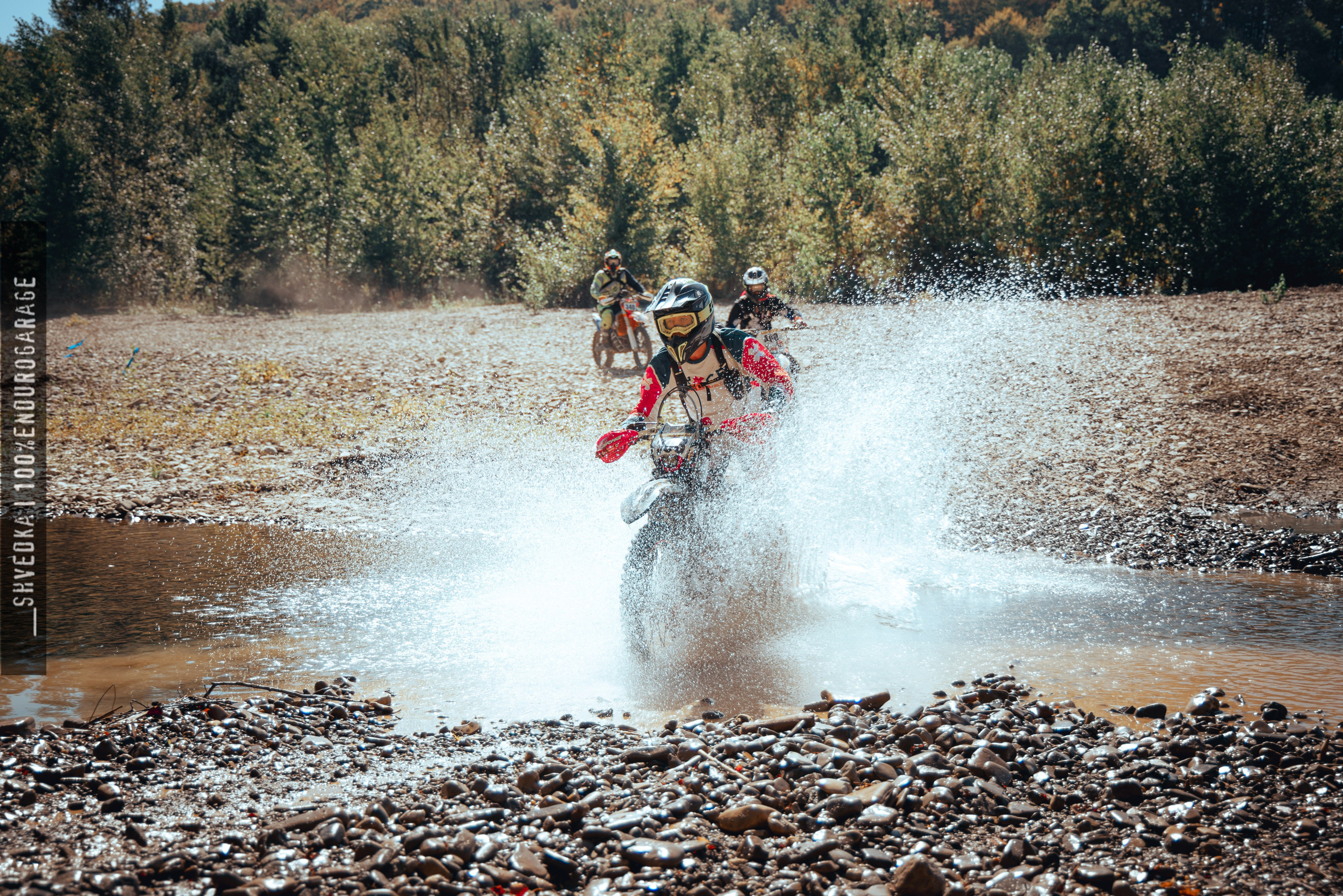 1 лесной день. Ваш экстрим фотограф Кудрева Яна