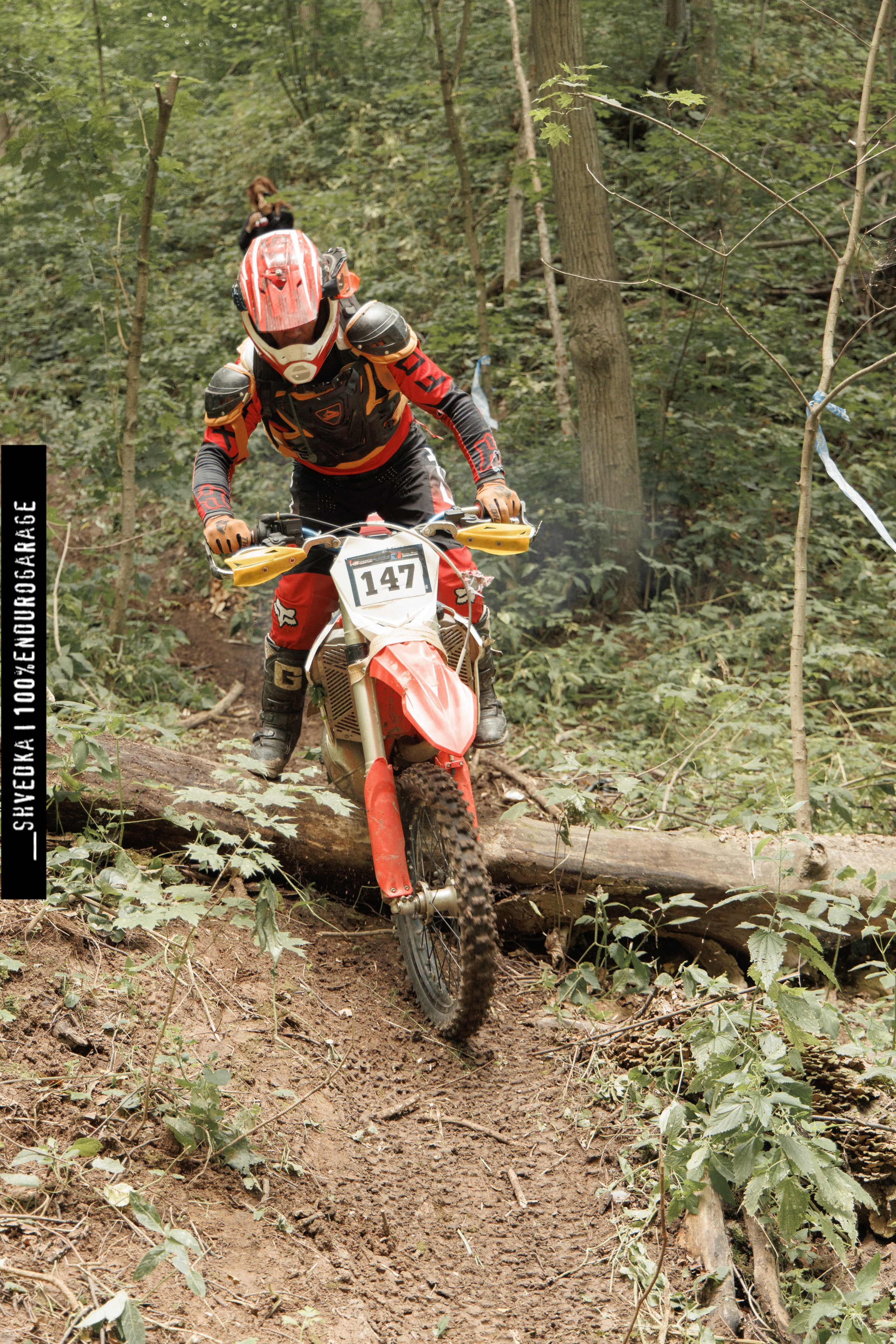 ПЕРВЫЙ ЛЕСНОЙ ДЕНЬ. Ваш экстрим фотограф Кудрева Яна