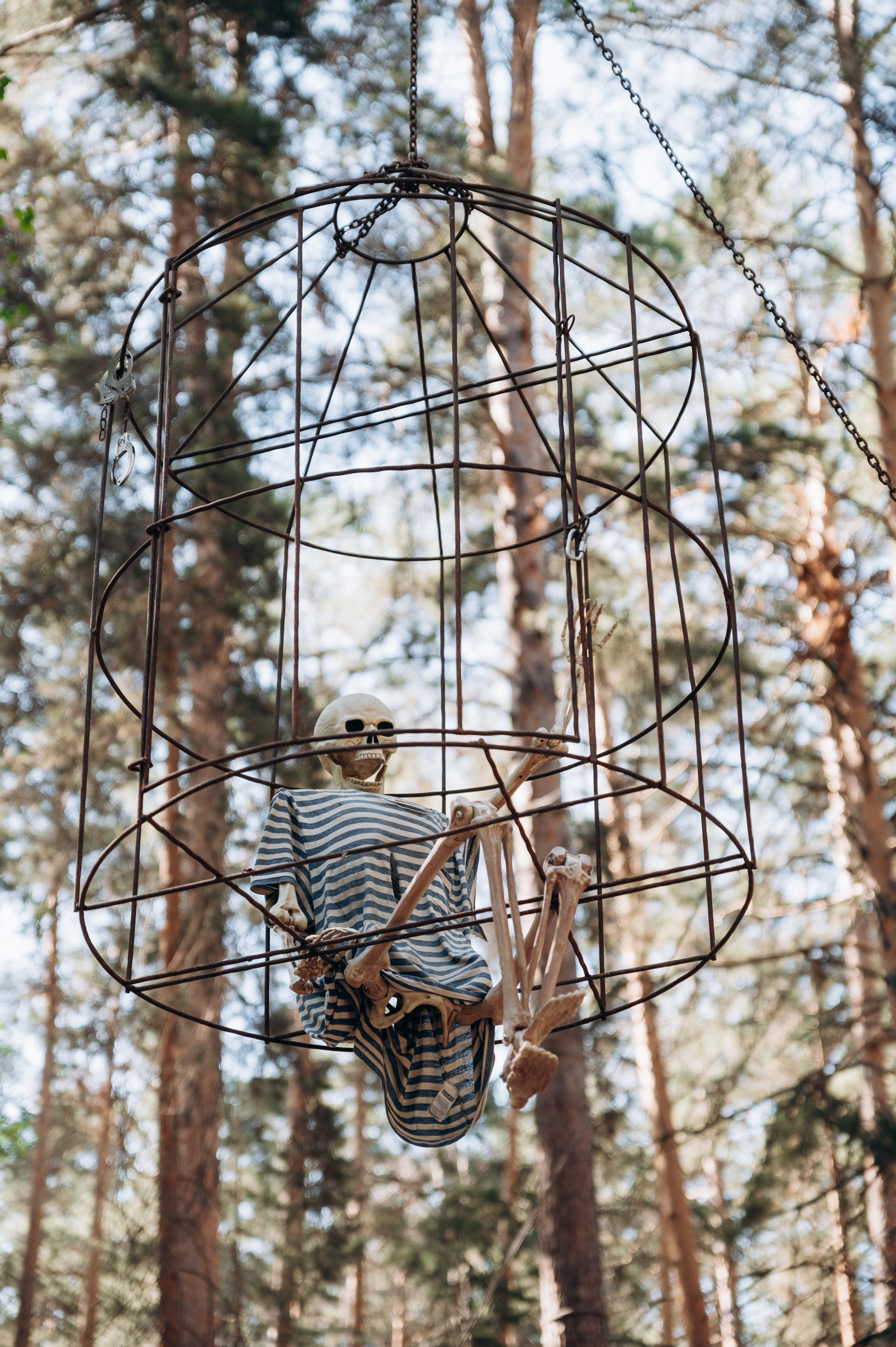 Сокровища Веселого Роджера. Фотограф в Новосибирске