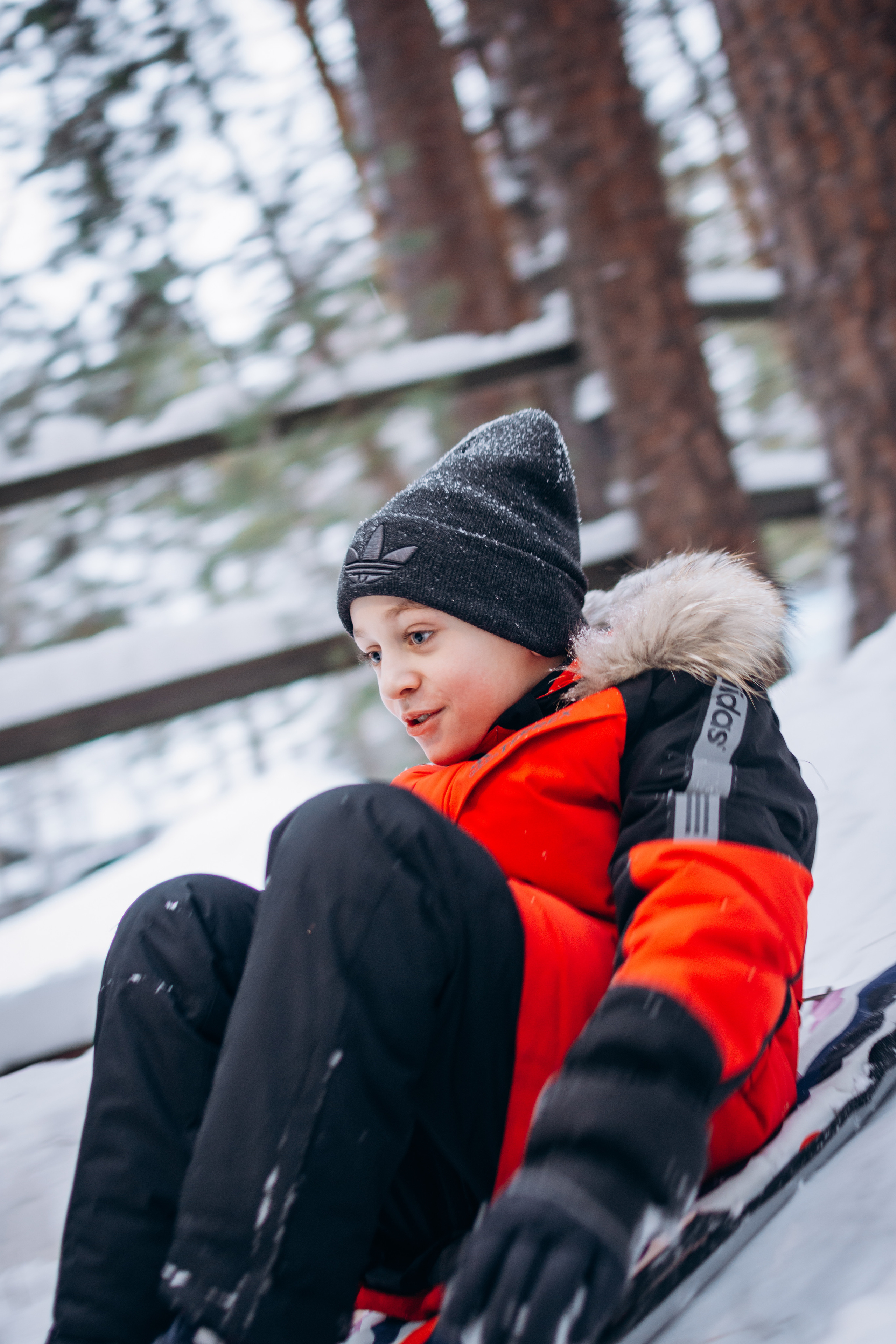 Новый год в лесу. Фотограф в Новосибирске