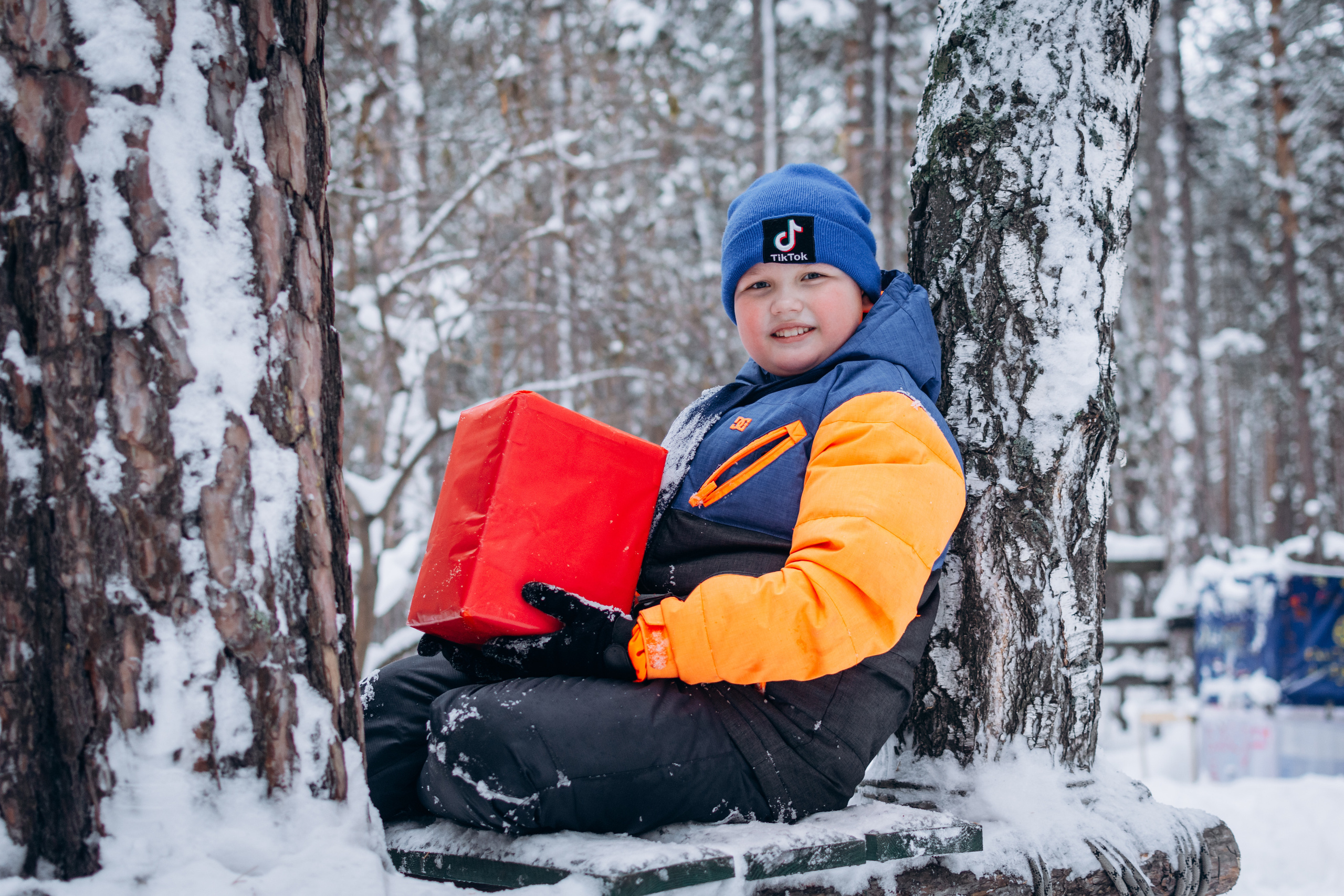 Новый год в лесу. Фотограф в Новосибирске
